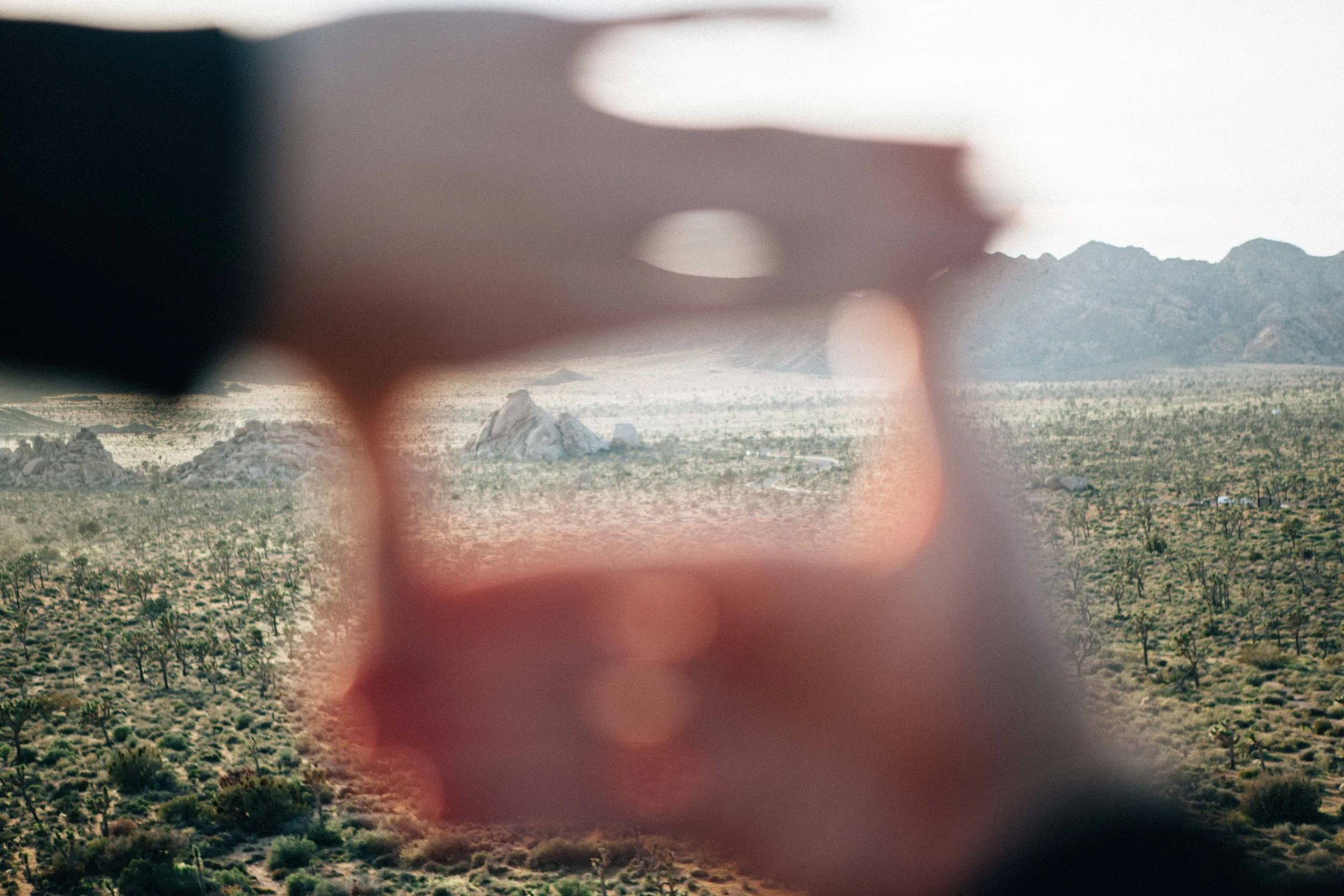 Joshua Tree 04.19 Edited Select-24.jpg