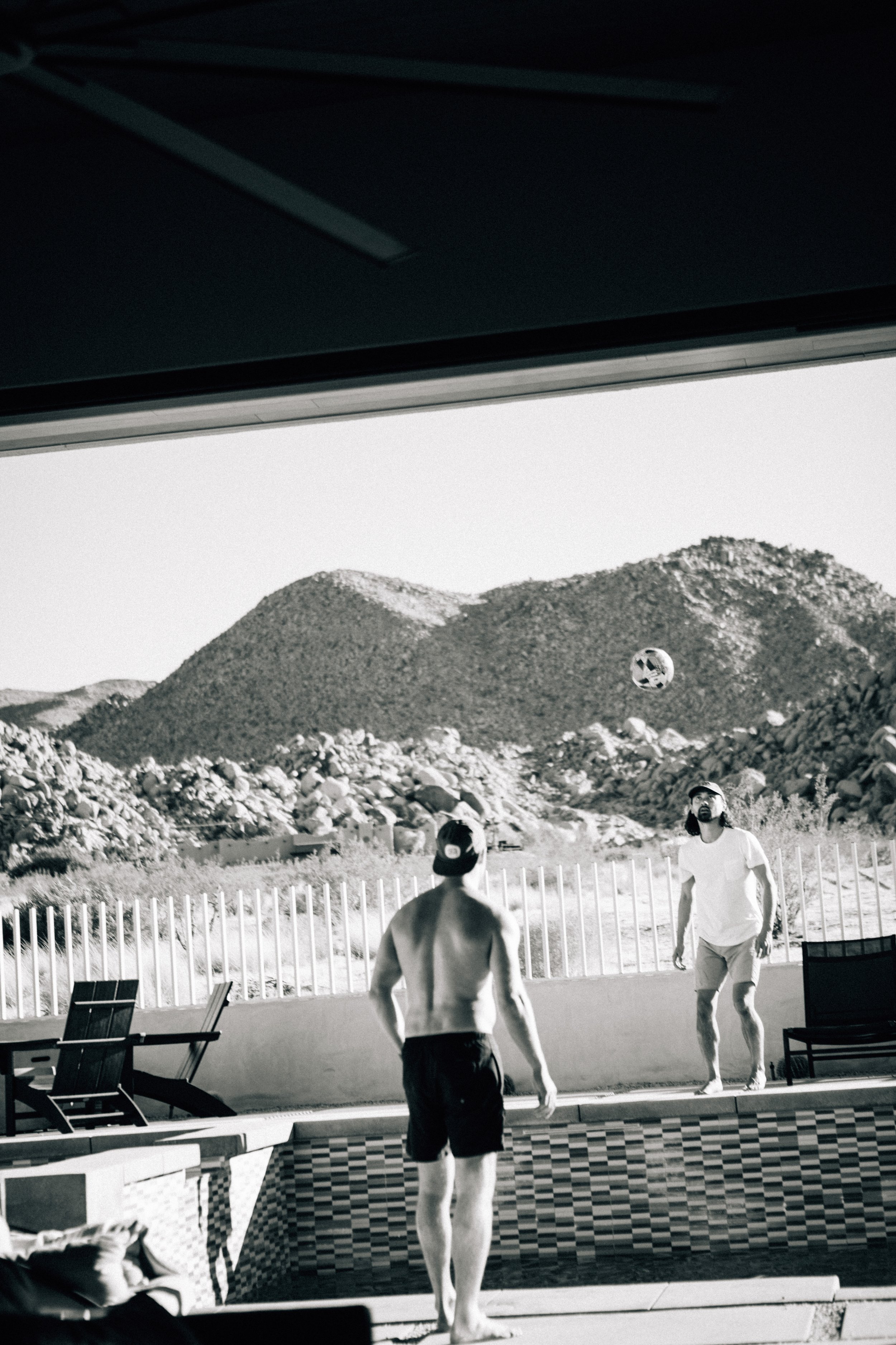 J Tree Nov '24-9.jpg