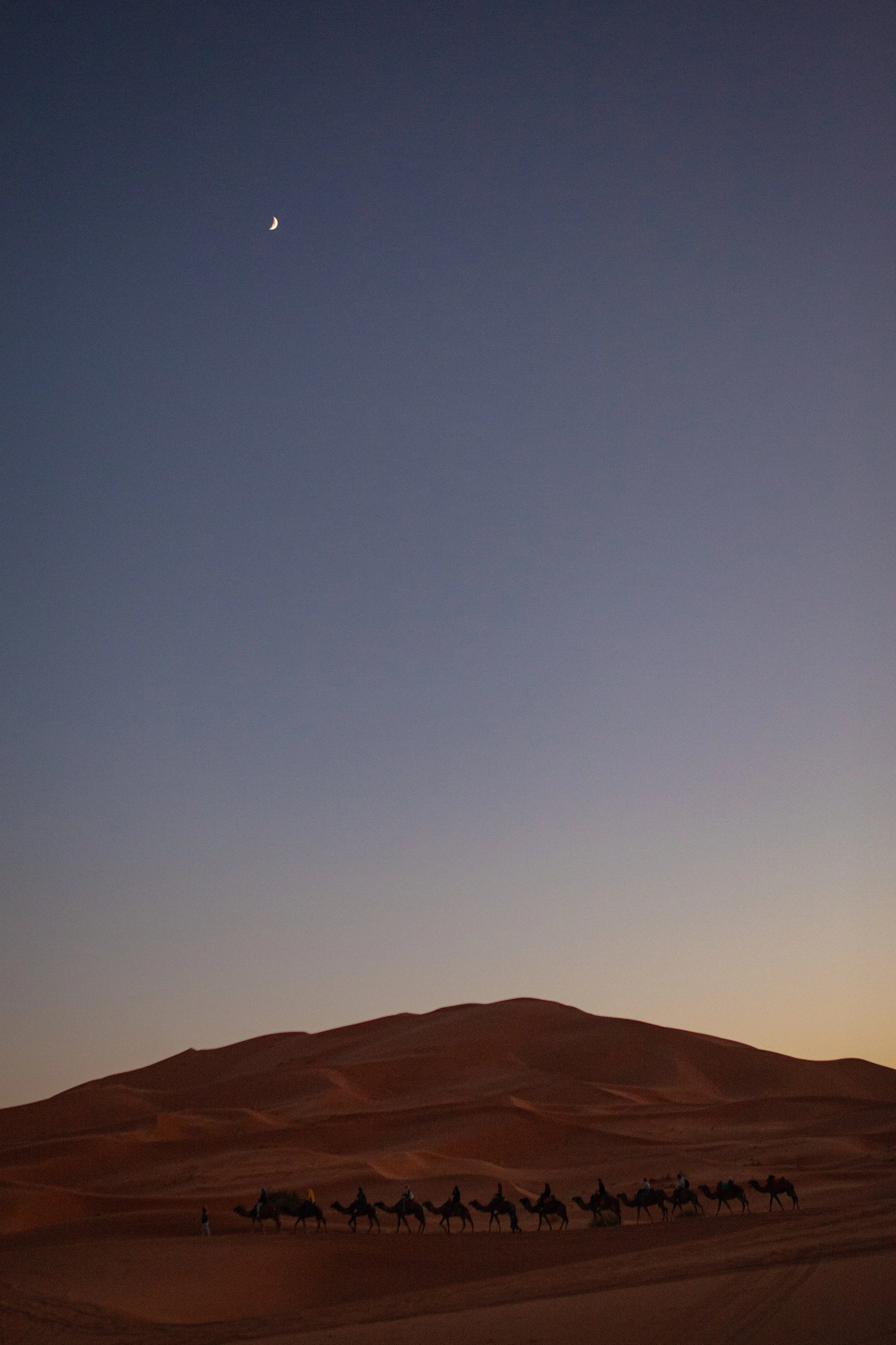 Portugal Morocco For Website-25.jpg