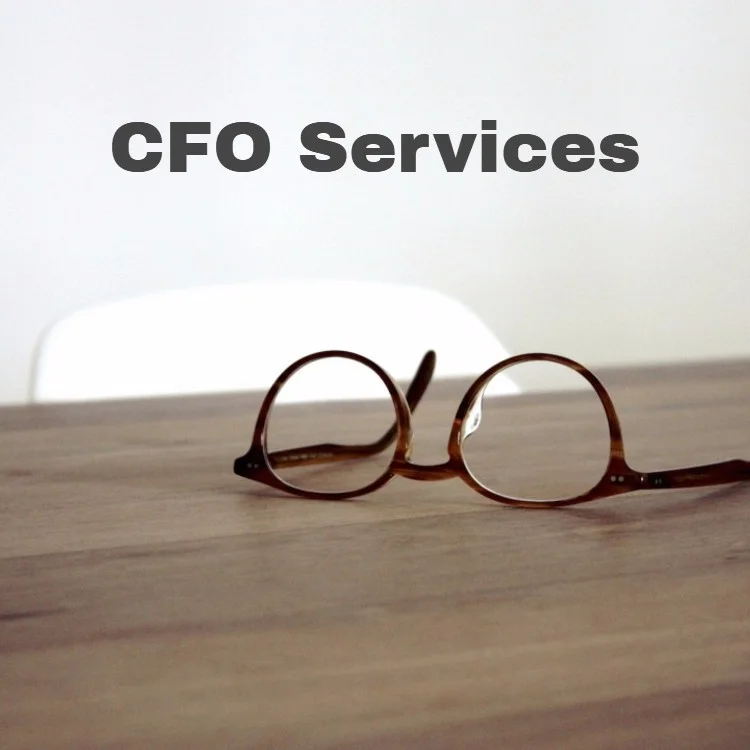 Financial Modeling Board Reporting Participate on Board Meetings