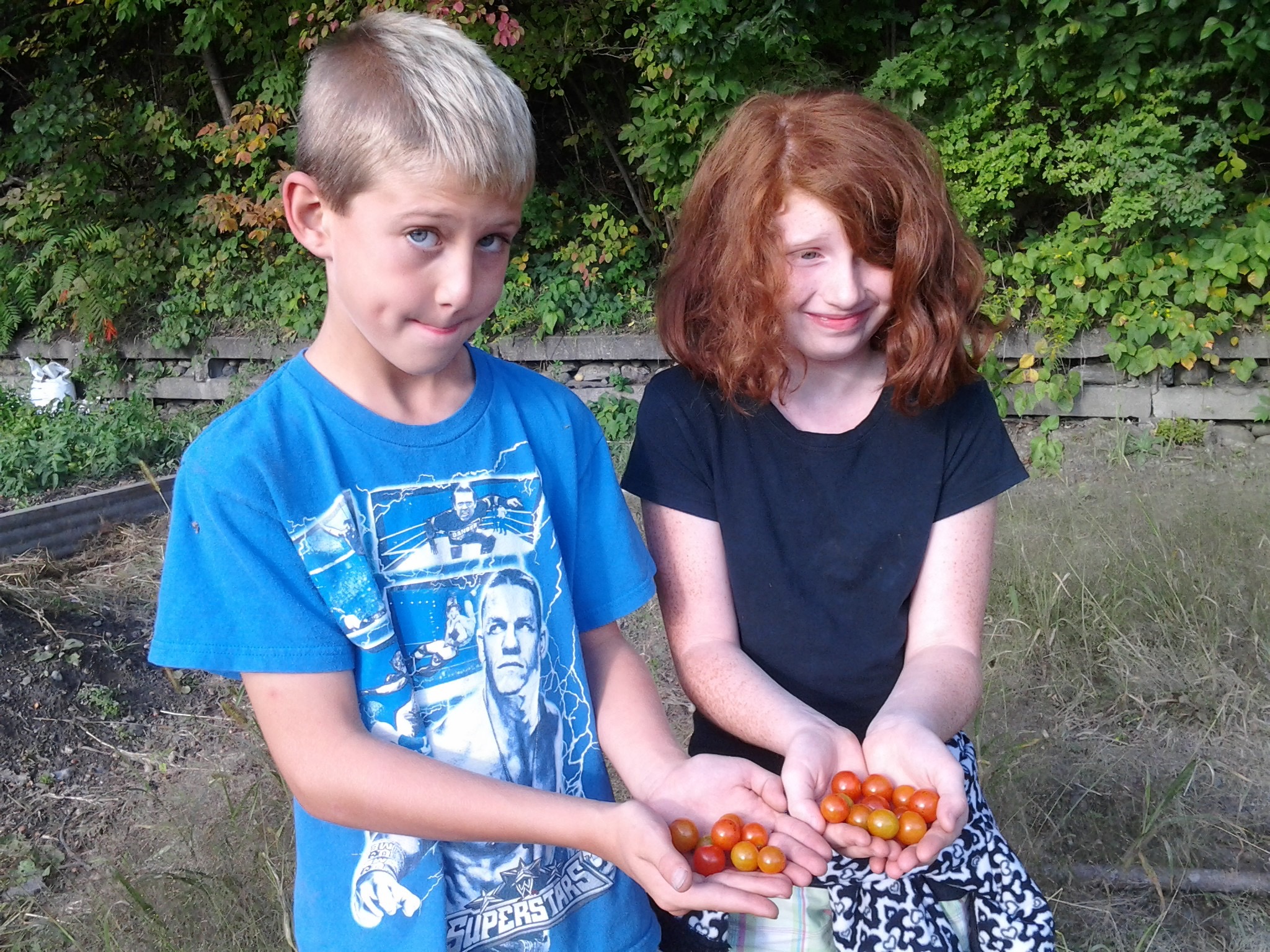 Harvesting food to share...
