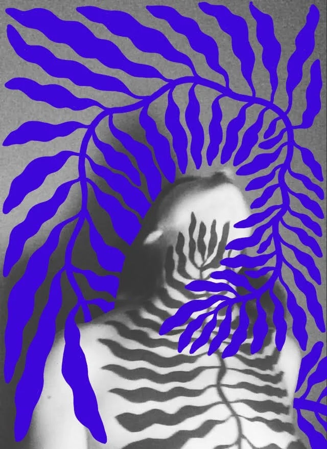 unnamed-9.jpg