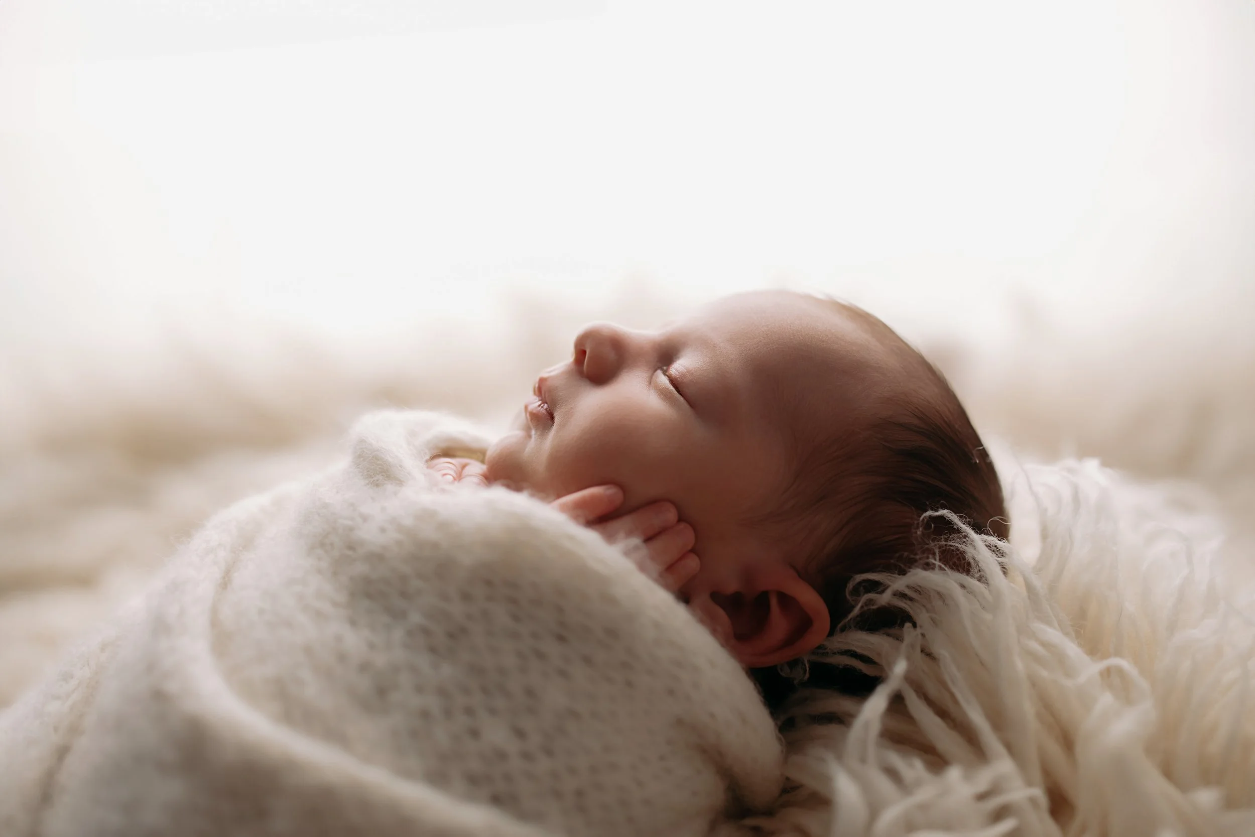 Studio Newborn Mini Session
