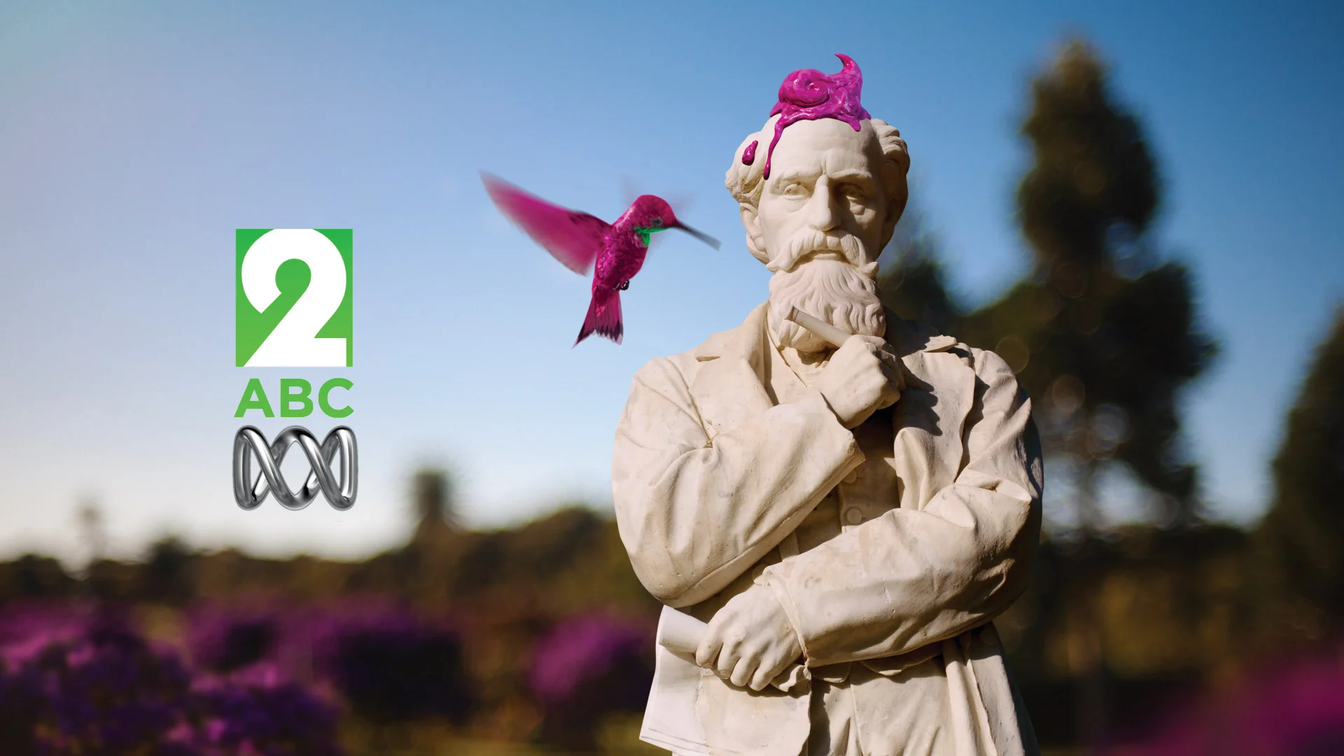 abc2_hummingbird_id_HD-(00343).jpg