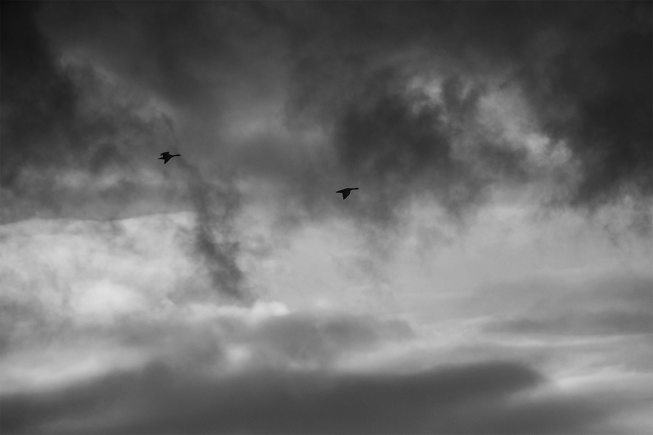 _D5A5377-2_sr_web.jpg