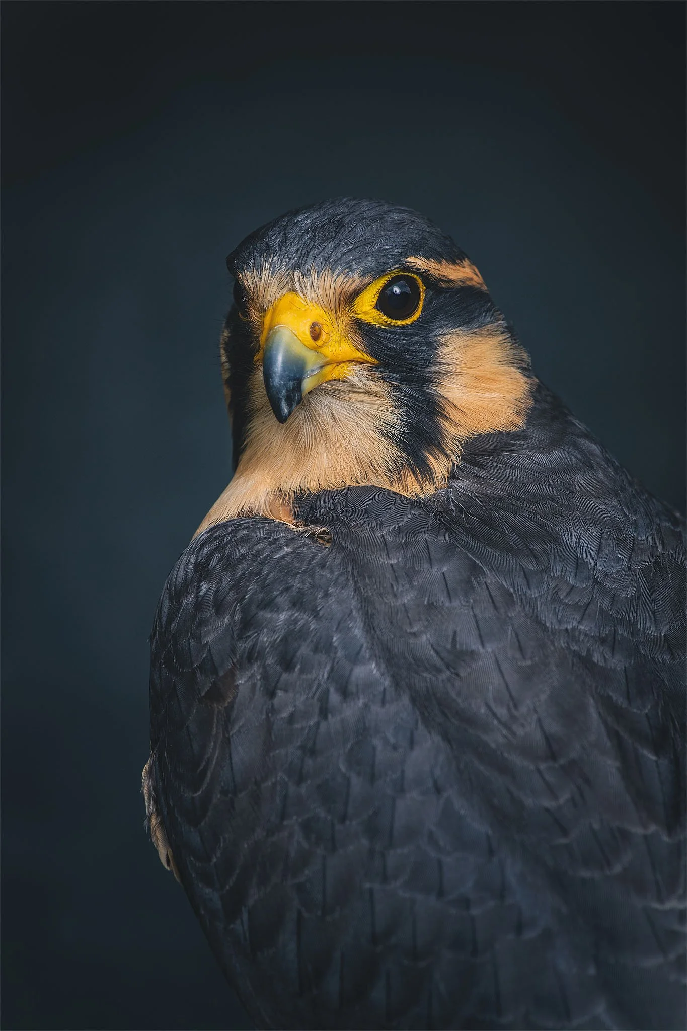 CLife_CharlotteFalconer-26_sr.jpg