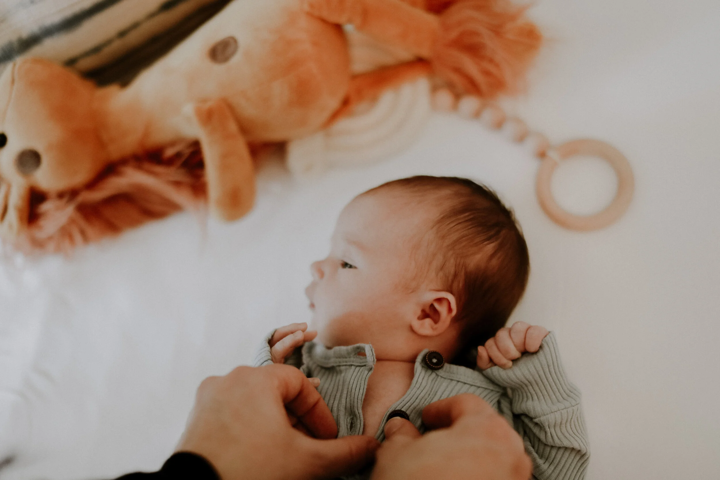 Blake Isabel  | Bruce Family