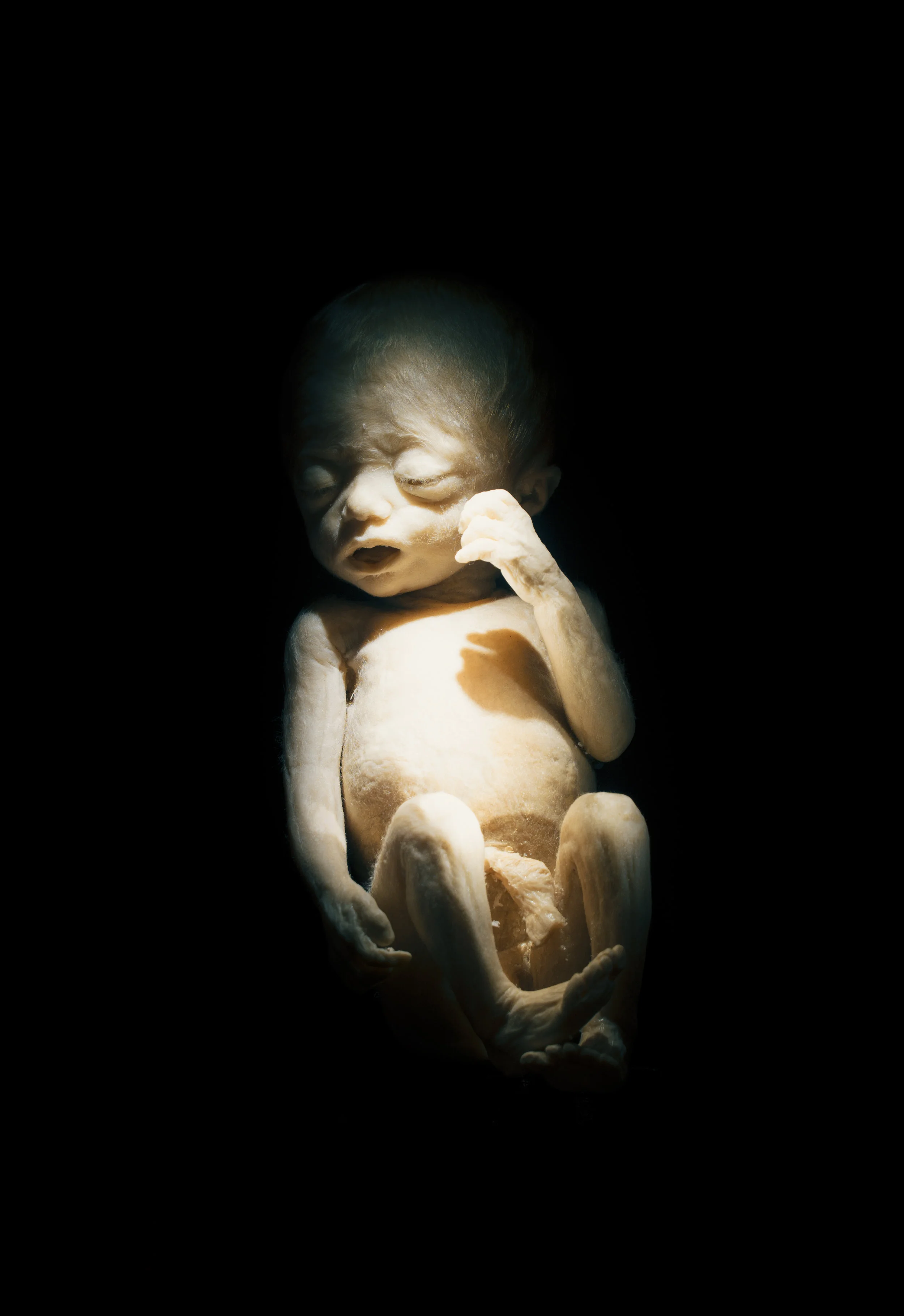 Loode_Martin Kirikal.jpg