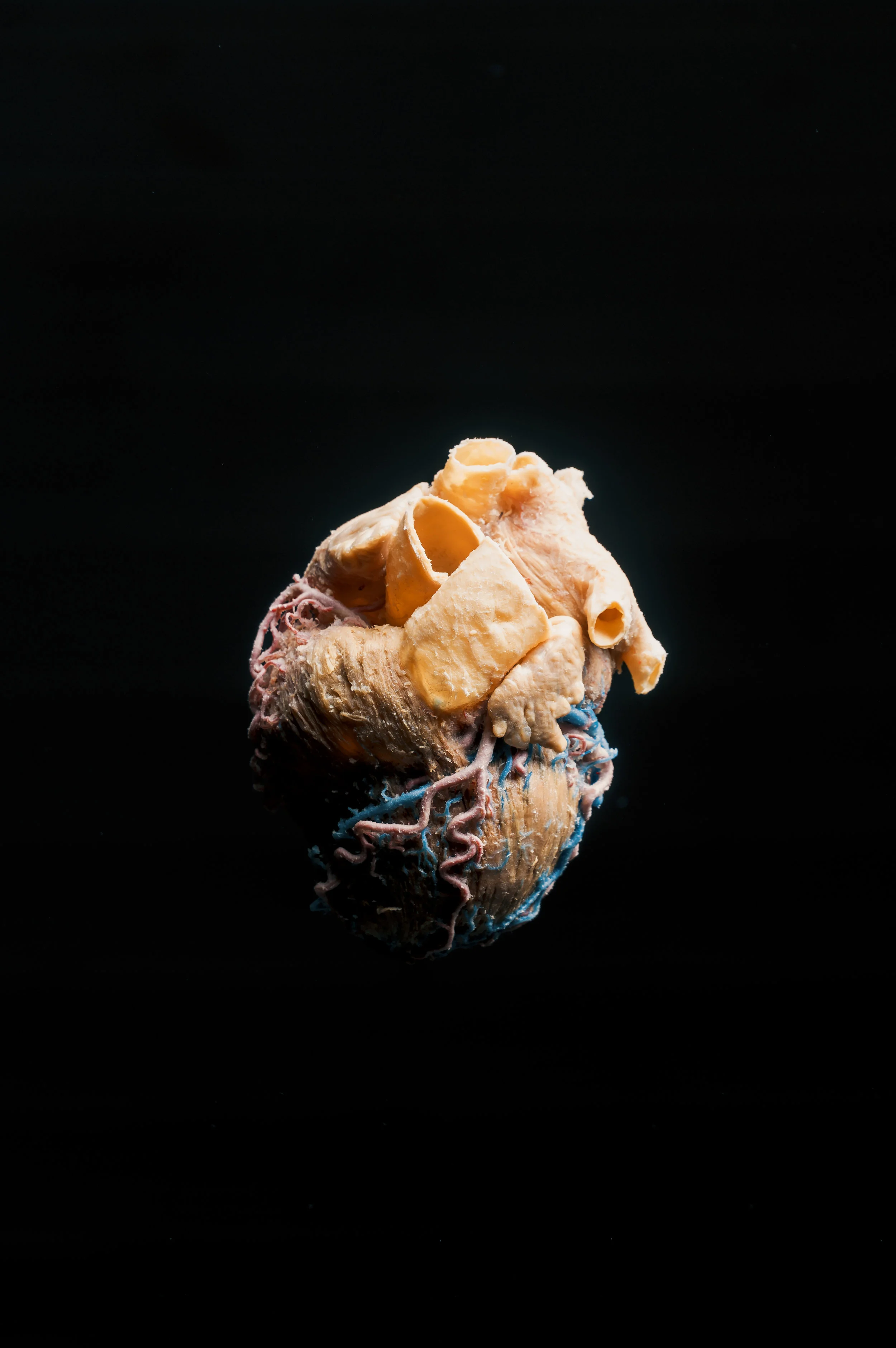 Süda_Martin Kirikal_01.jpg