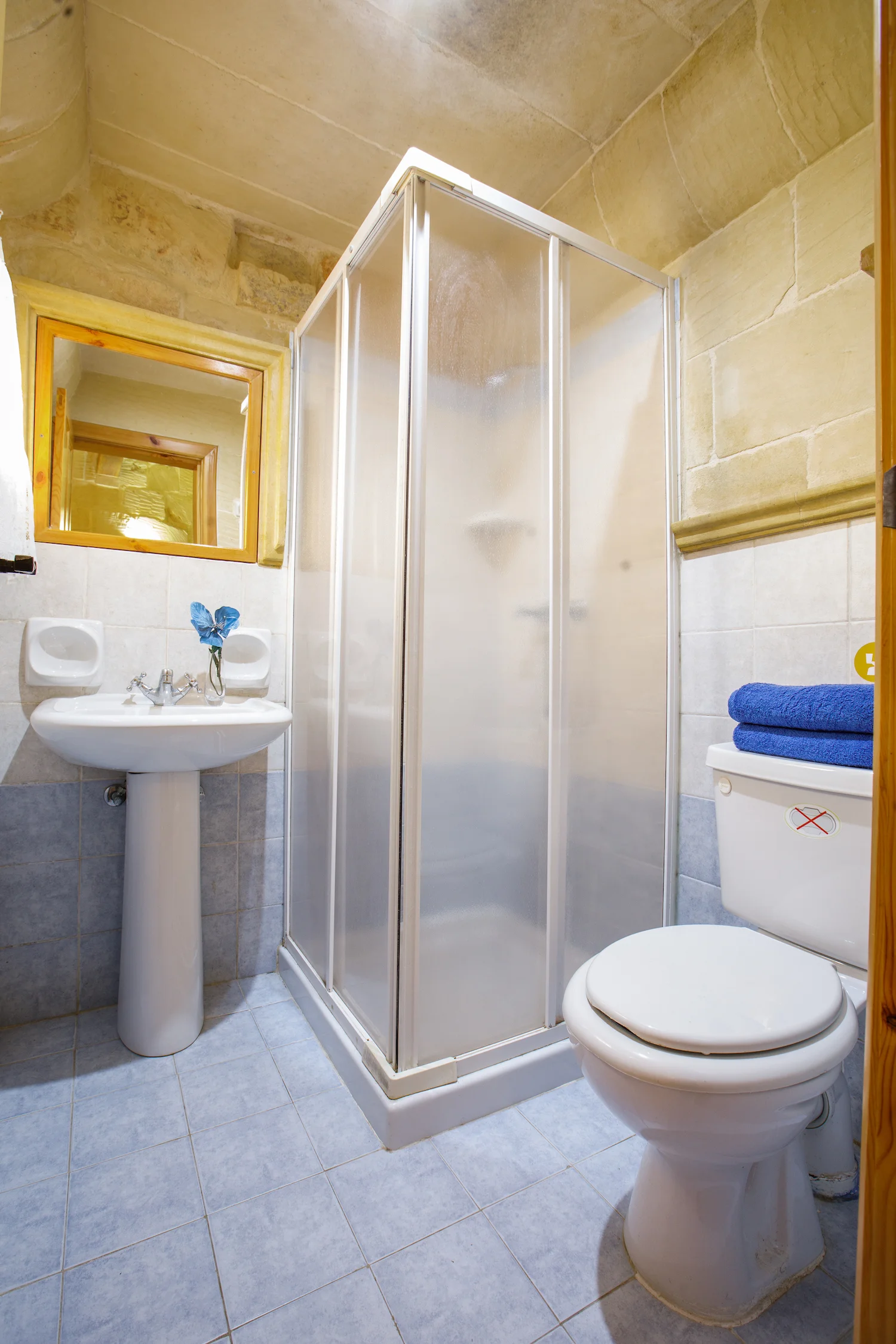 The ensuite shower