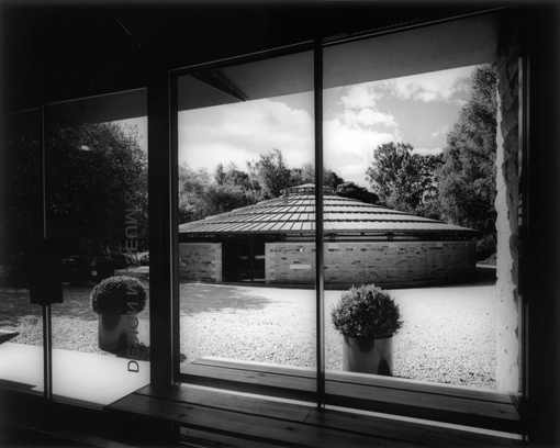 DM TRB through window.jpg