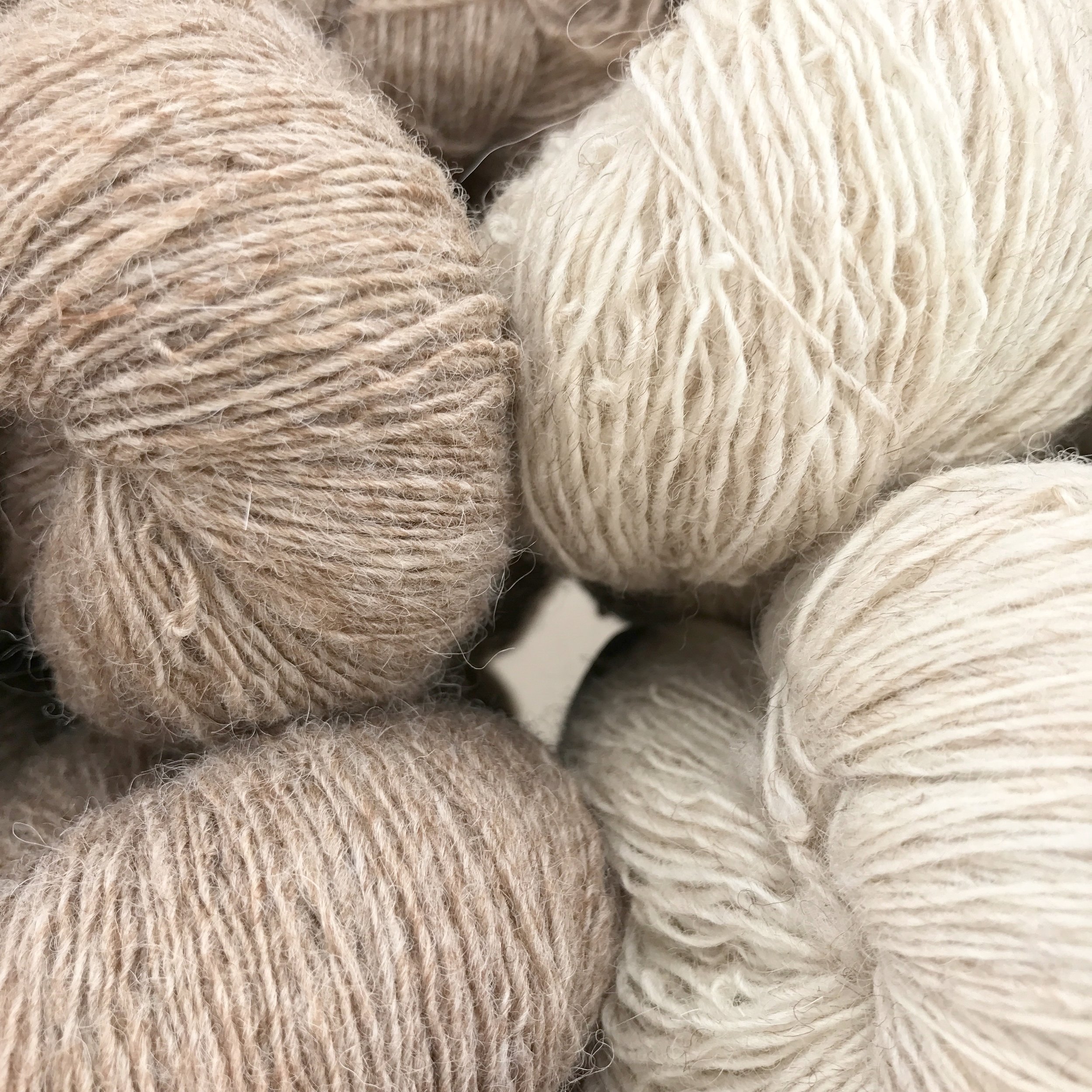 Ecru and White Lace.jpg