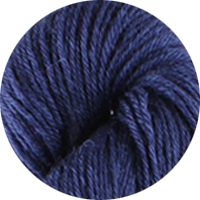 Preseli Blazer.png