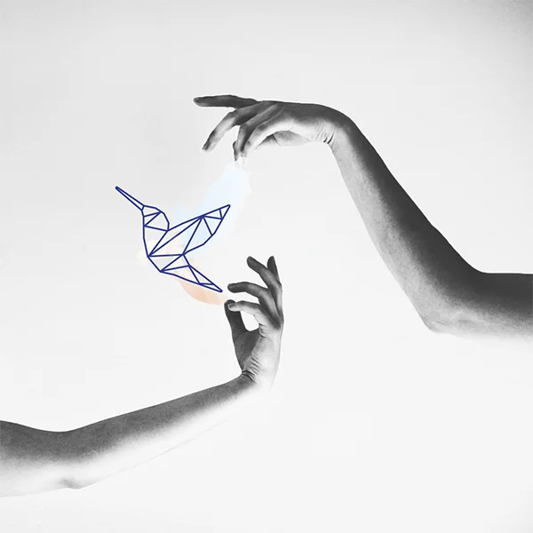 HUMMINGBIRD_VINN.jpg