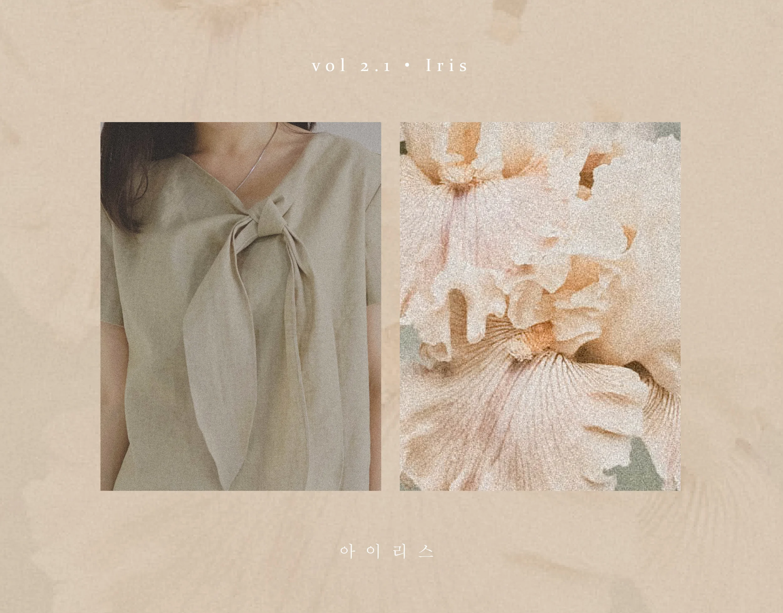 iris-44.jpg