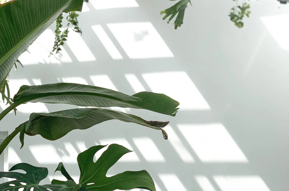 SUMMER GETAWAY IN VINN