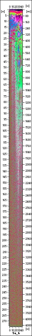 Fig. 1. Radargram.