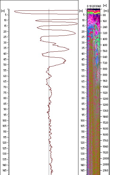 Fig. 3. The trace and the radargram with maximum of the amplitudes of the reflected signal marked red. GPR data from GROT-11 provided using GROTDATA processing software produced by Timer CJSC.