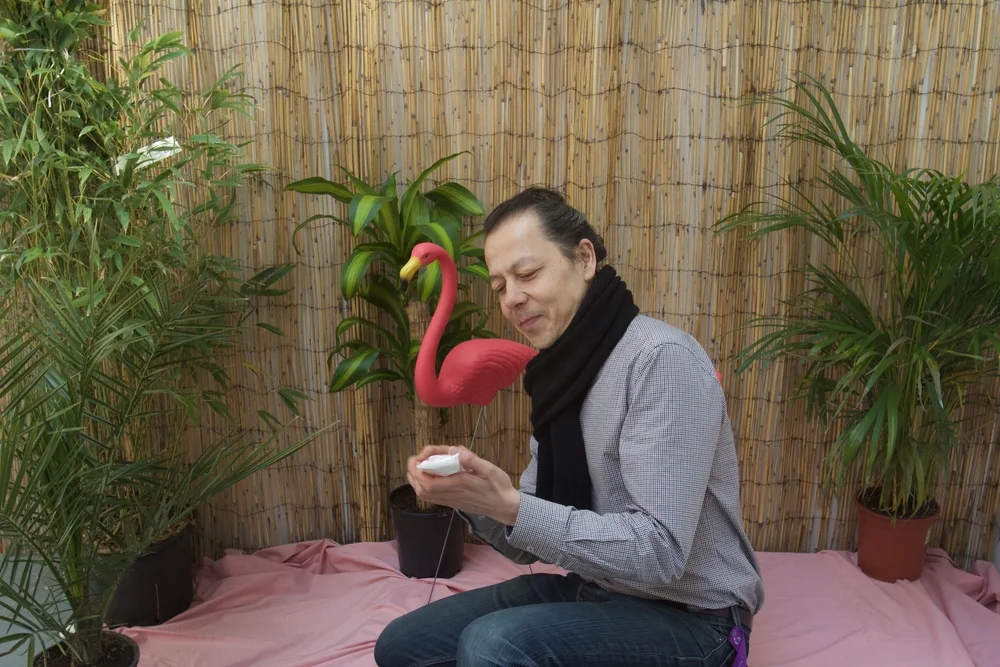 Flamingozoo-02.jpg