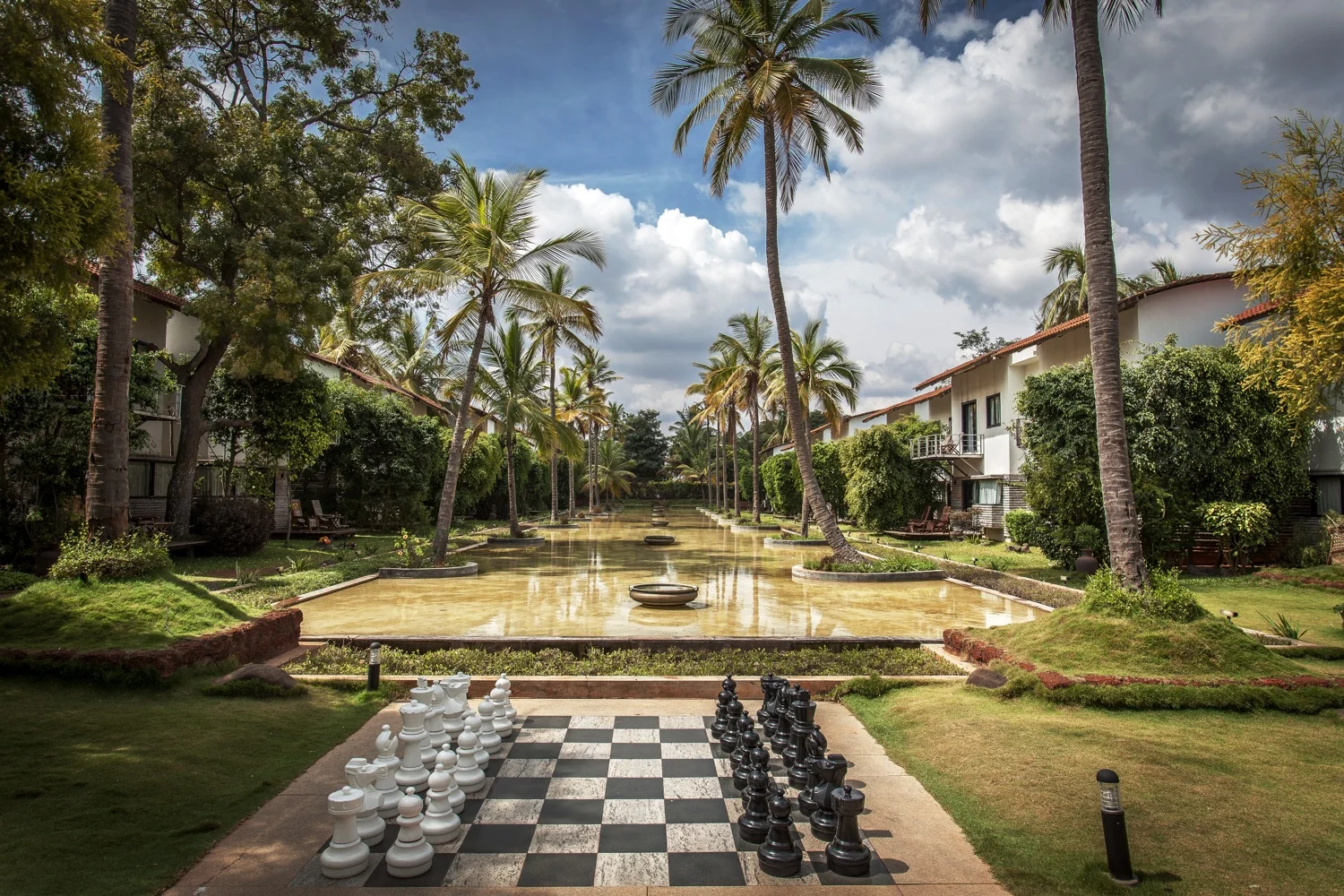 The Windflower, Mysore