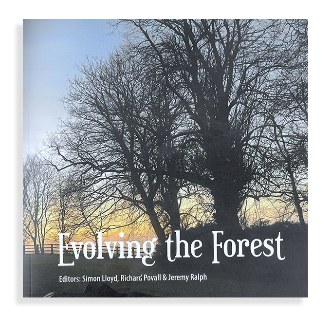 evolving-the-forest.png