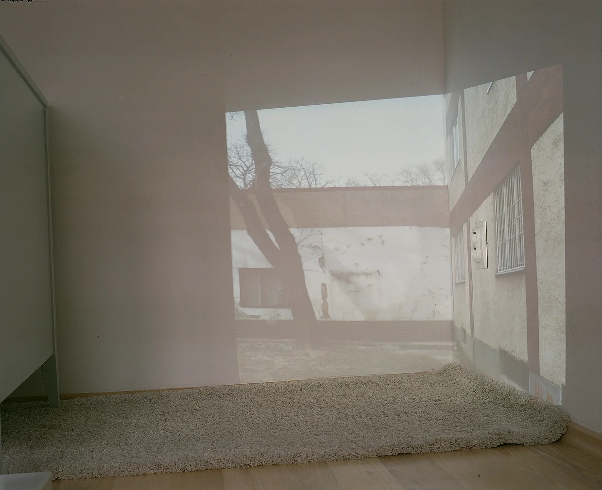 Kopie - 89830008.jpg