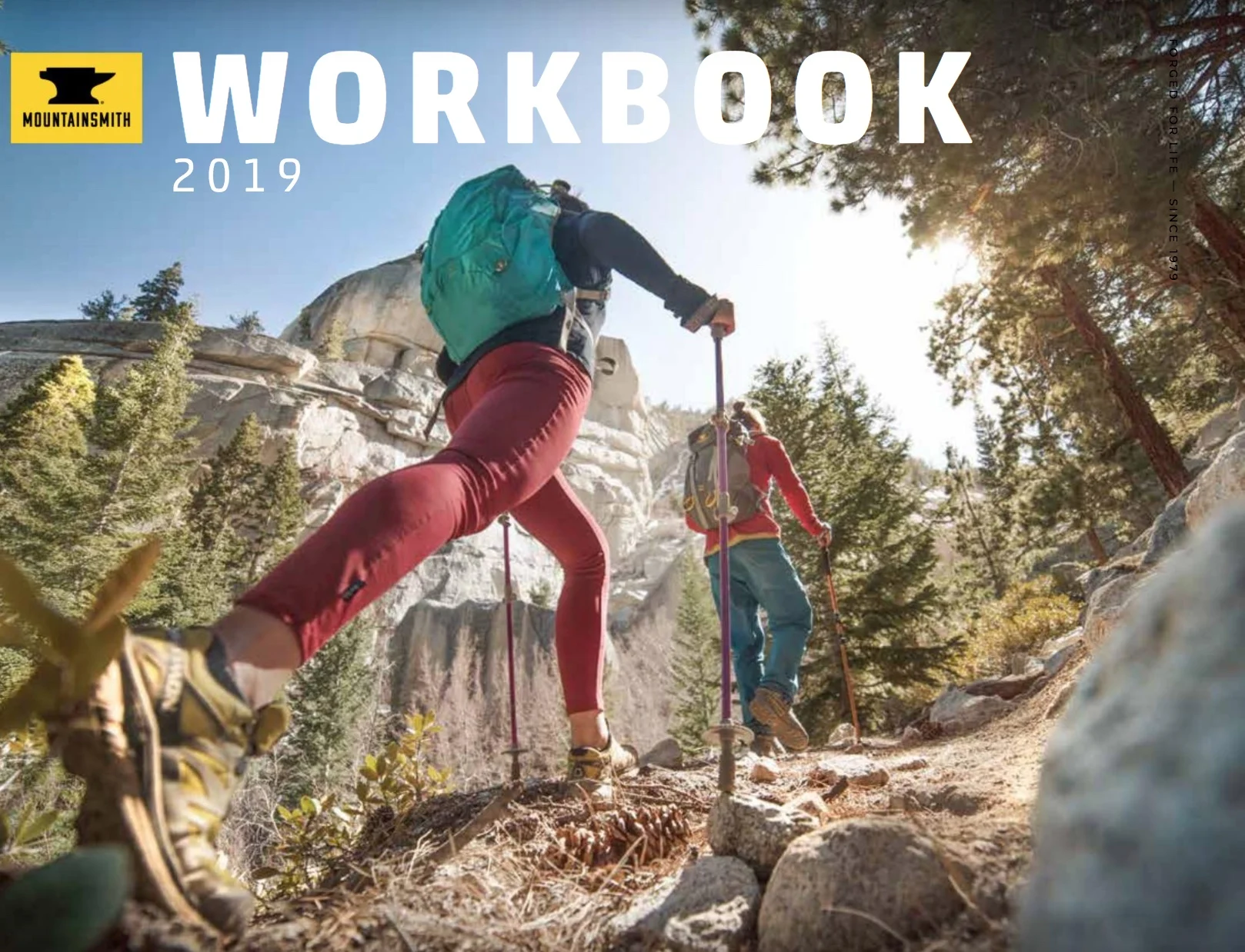 mountainsmithwb2019.jpeg