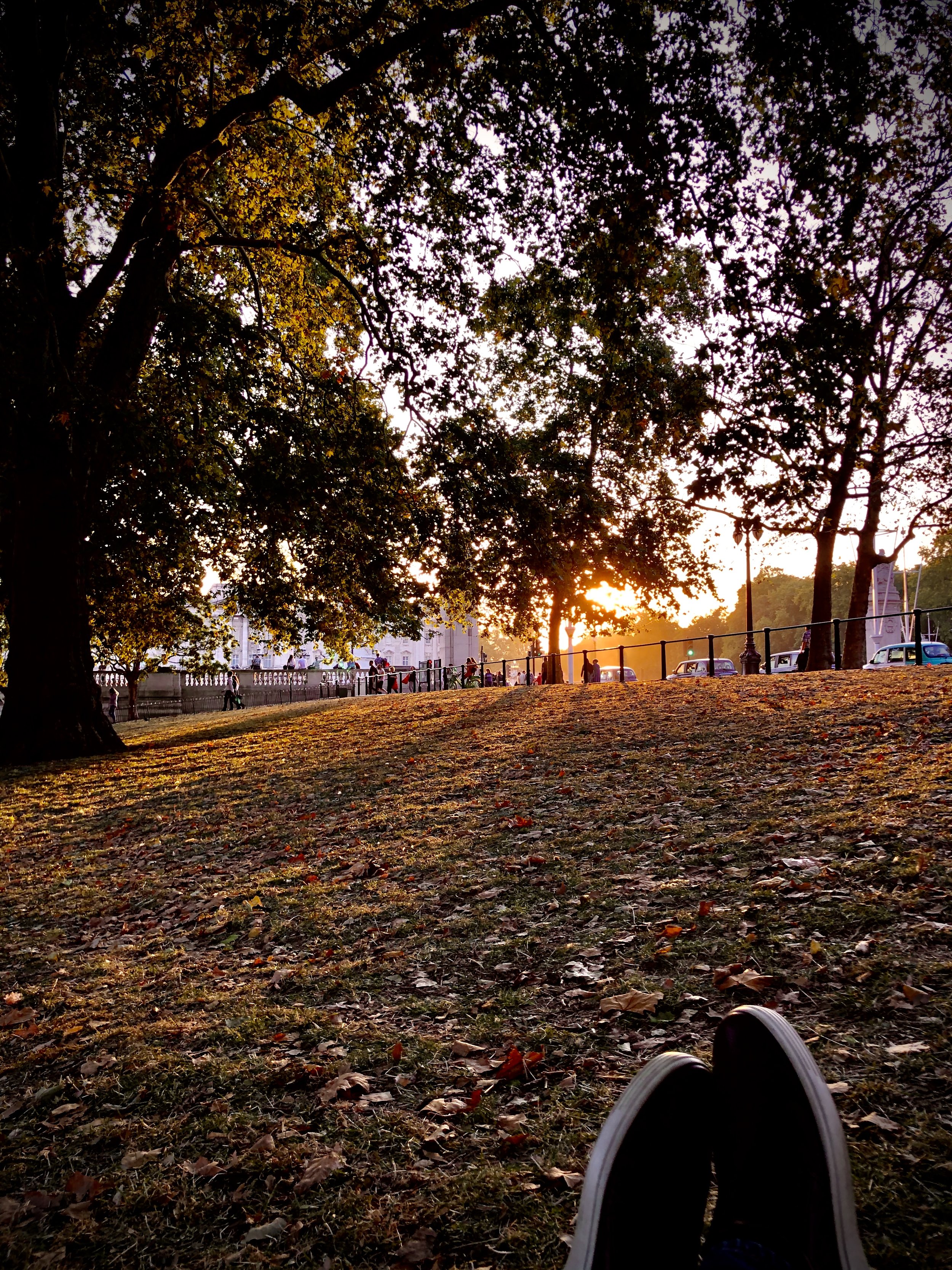 The start of autumn, viewed from St. James’ Park