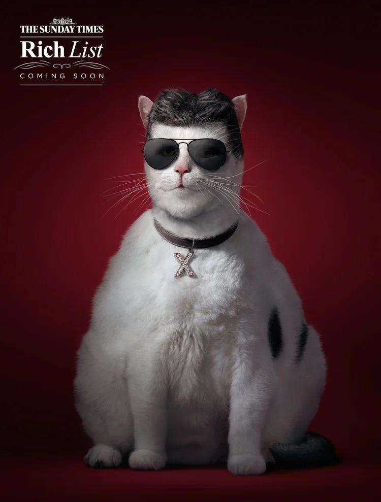 The Sunday Times 'Cowell'