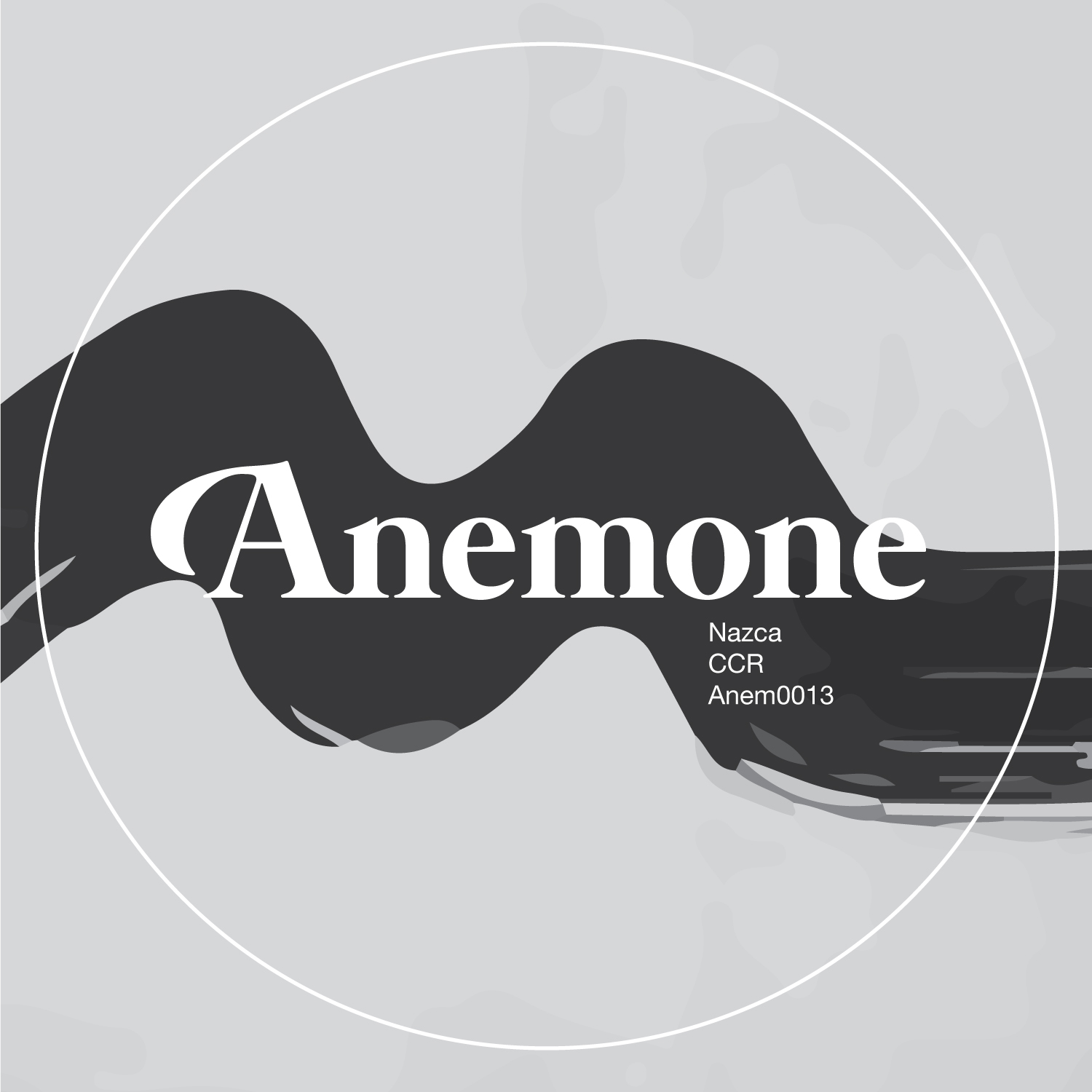 Anem0013.png