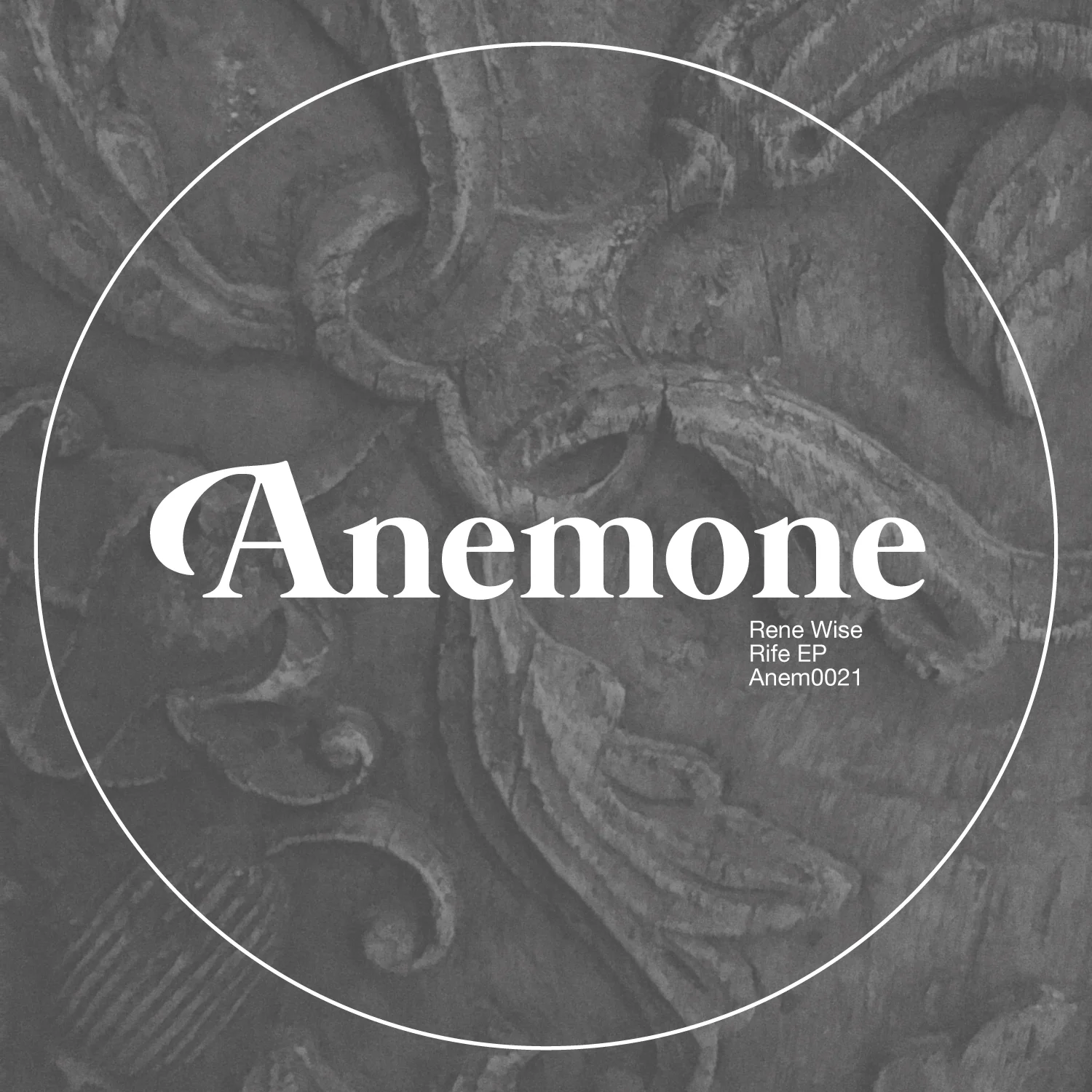 Anem0021.jpg