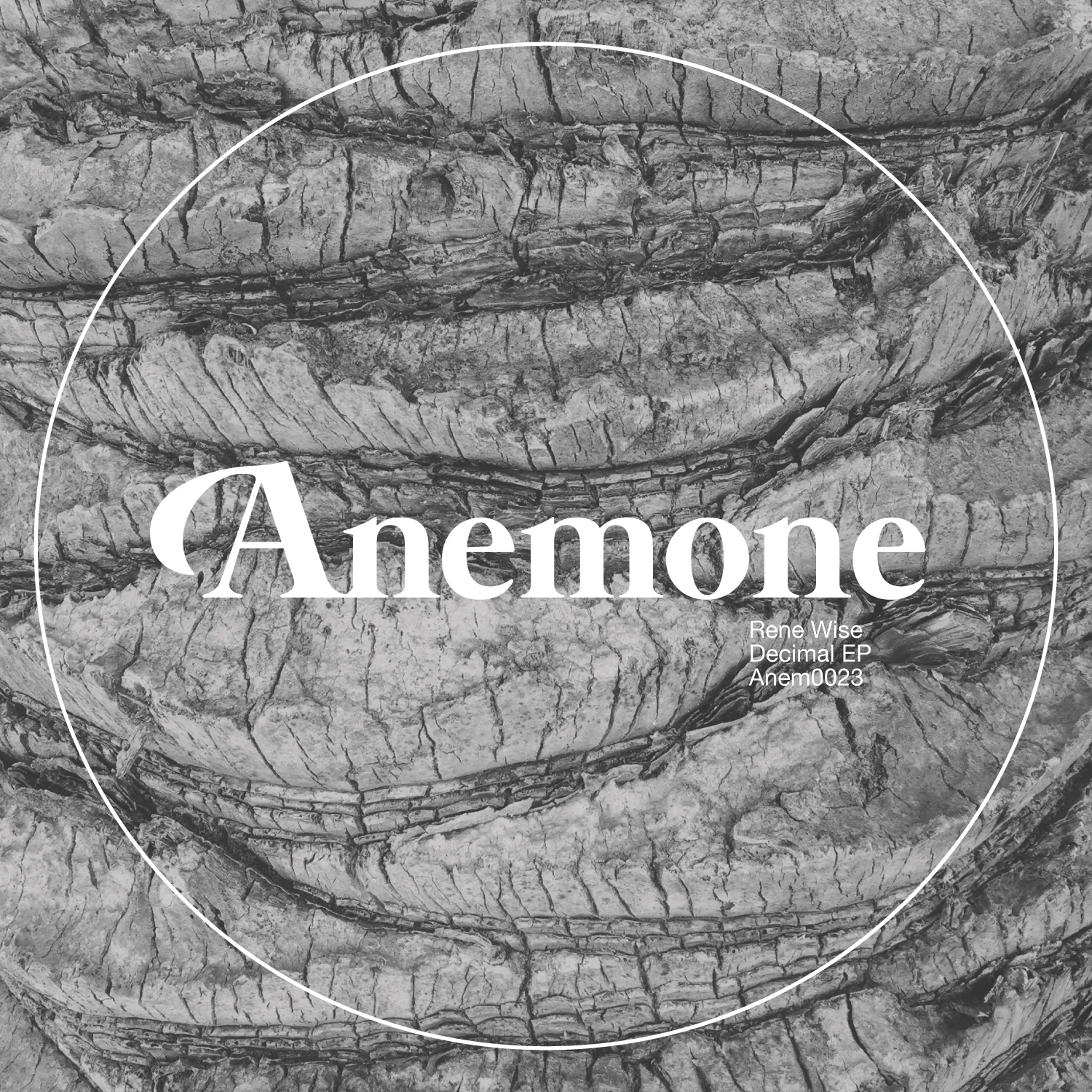 Anem0023.jpg
