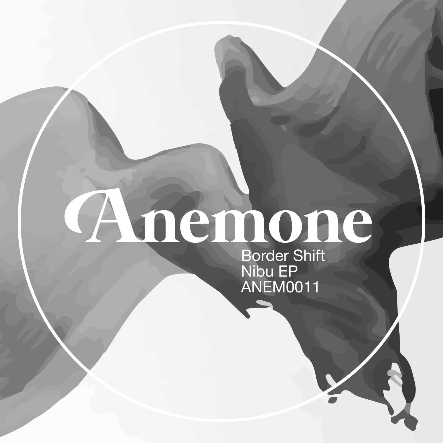 Anem011-artwork.png