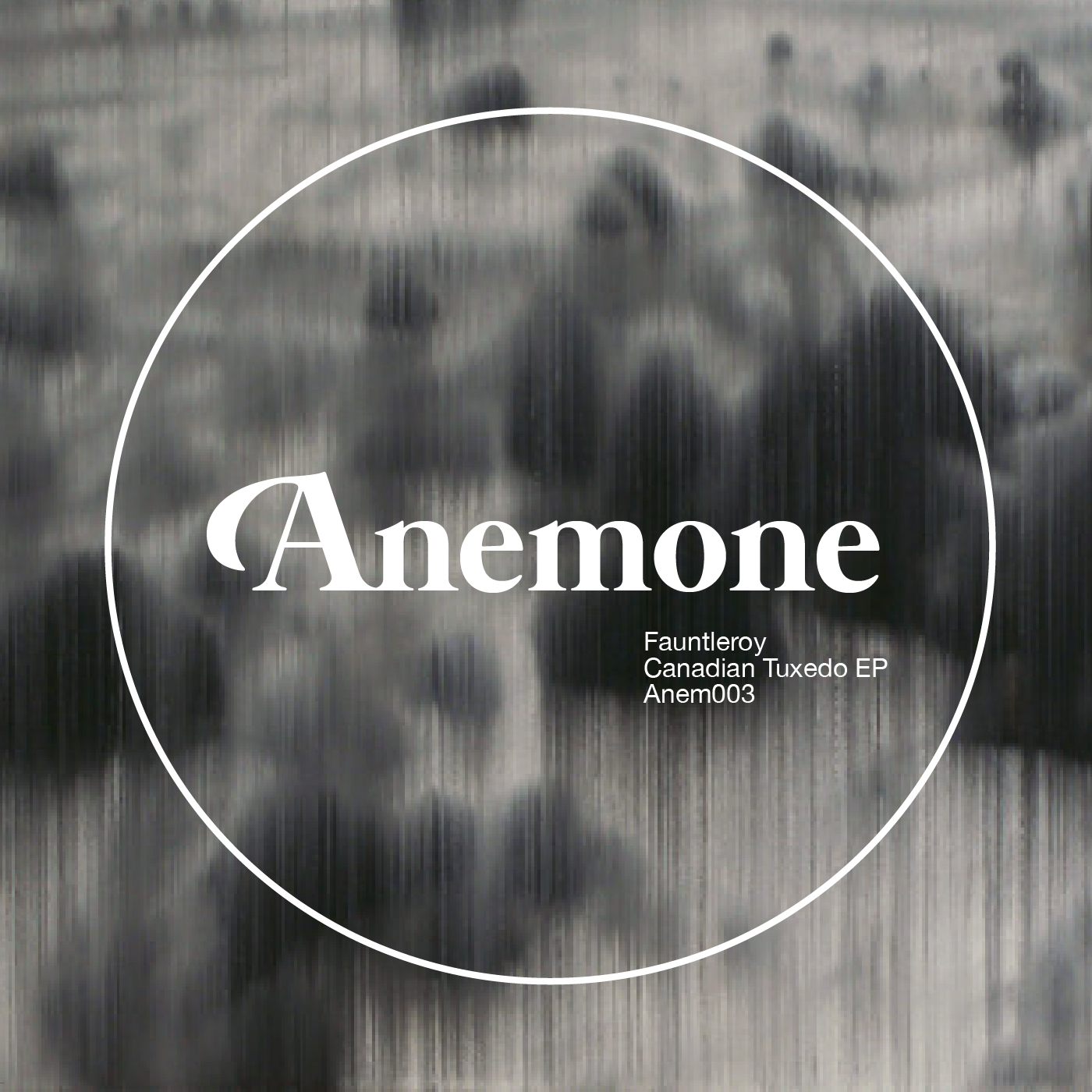 Ane003-packshot.png