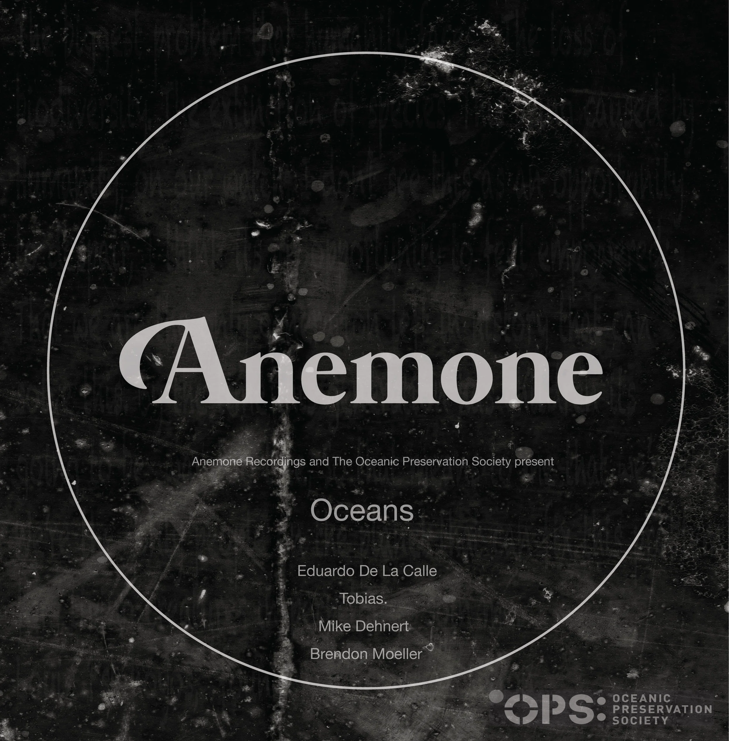 ANEM0040---12'-sleeve---Front.jpg