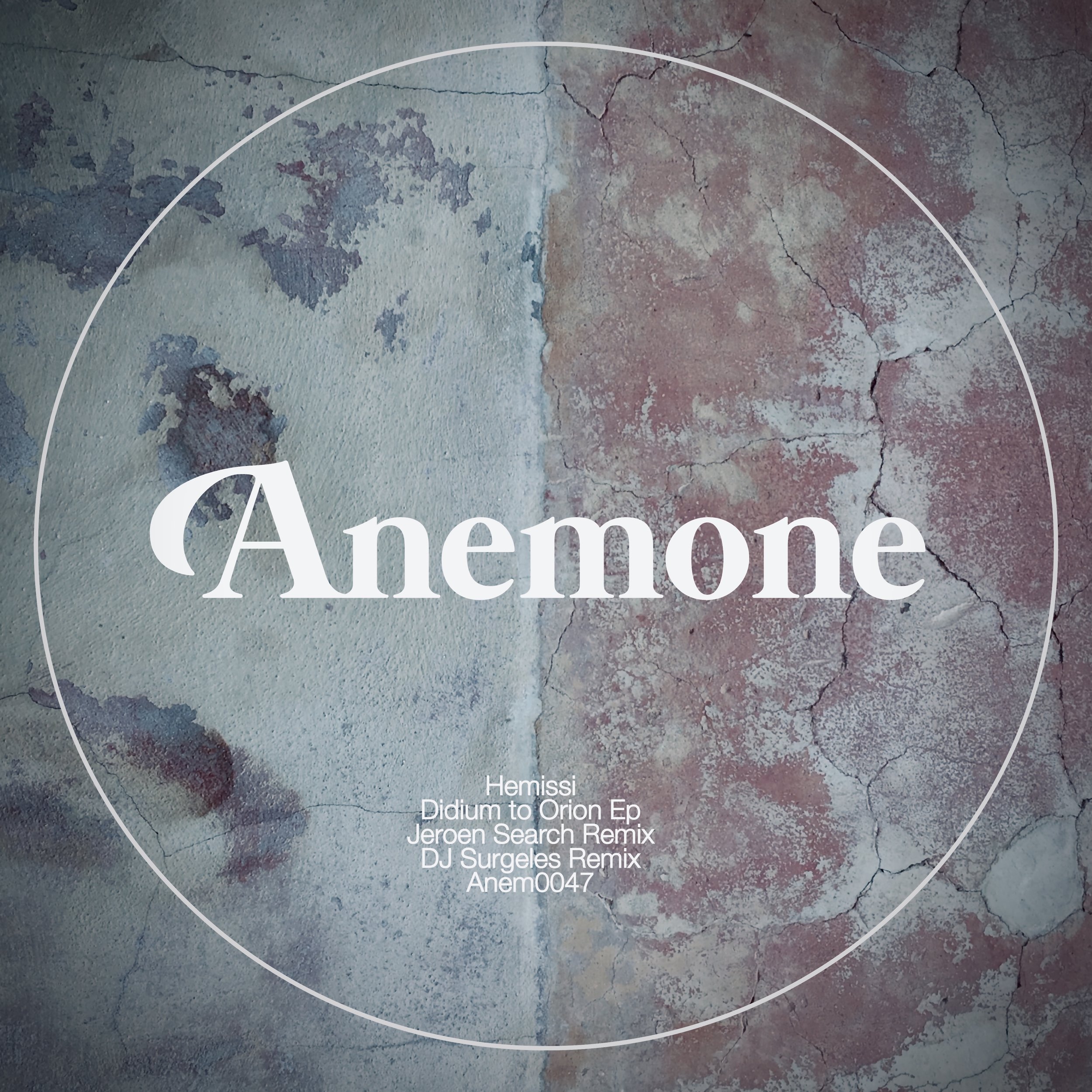 ANEM0047 ART .jpg