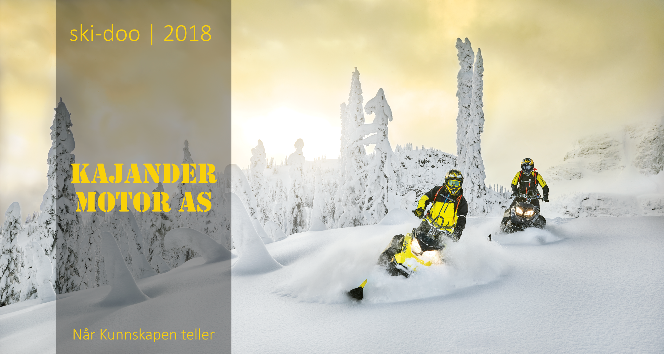 Ski-Doo 2018 BRP, Snøscooter