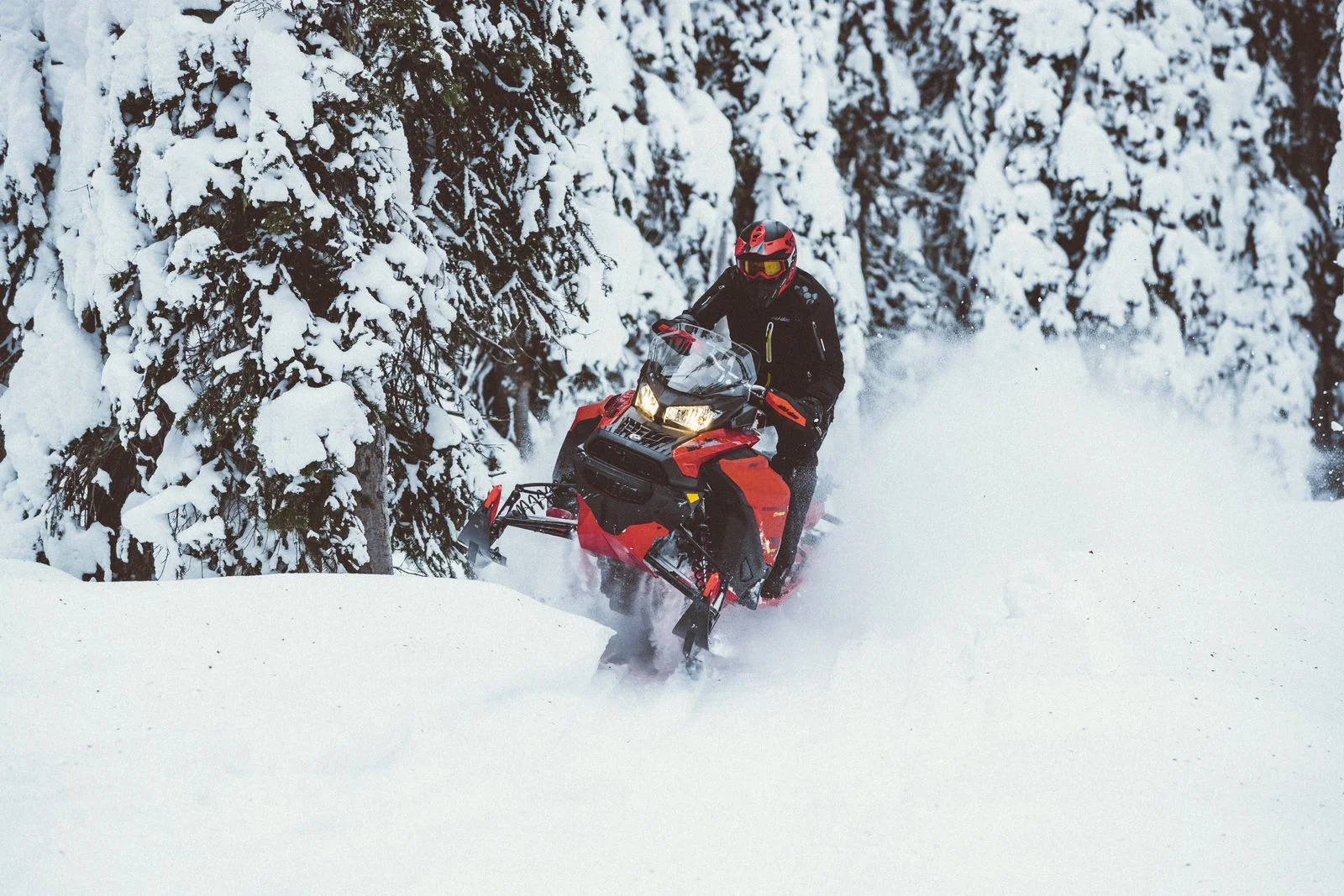 SKI_Expedition_Extreme_Action_MY20_JW_24611_R2_RGB-1600x1600.jpg