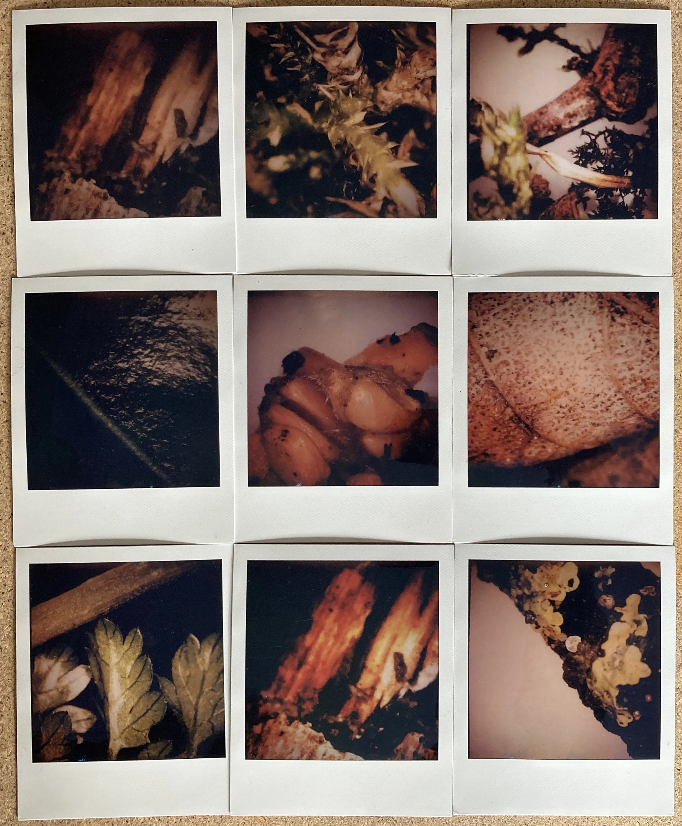 Microscope Exploration