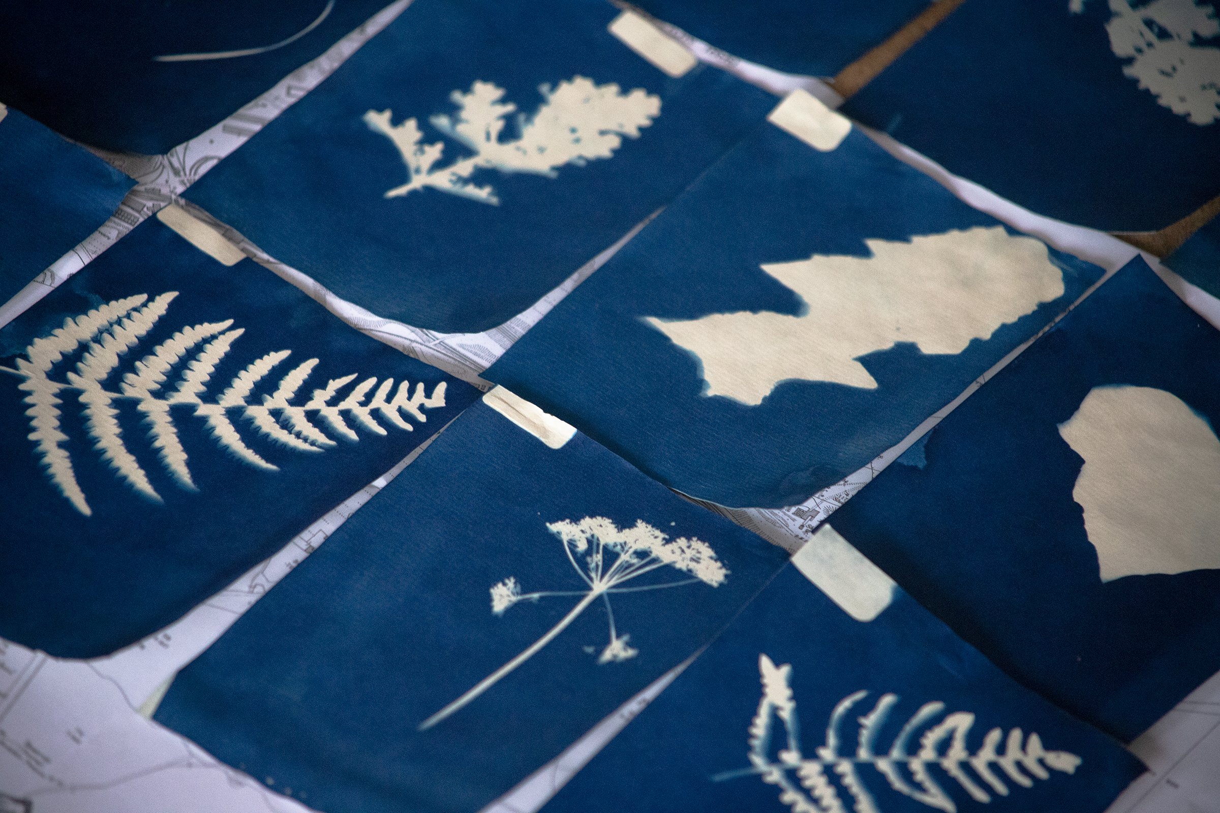 Documenting with Cyanotype