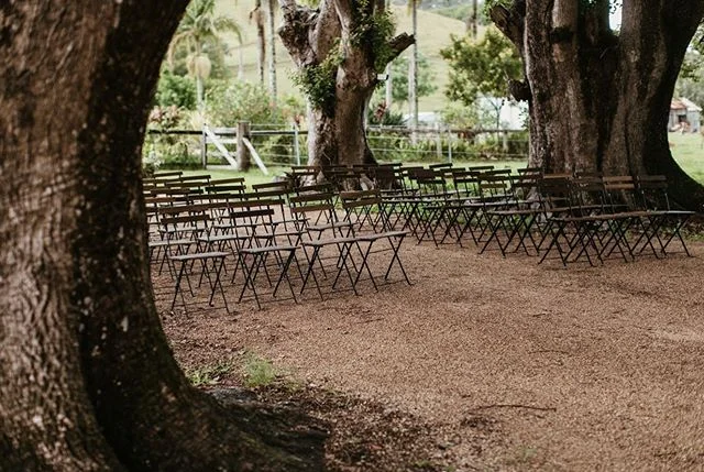 Our chairs sitting pretty amongst nature 🌿

#bistrochairs #woodsywedding #rusticwedding #weddingfurniturehire @storiesbyash