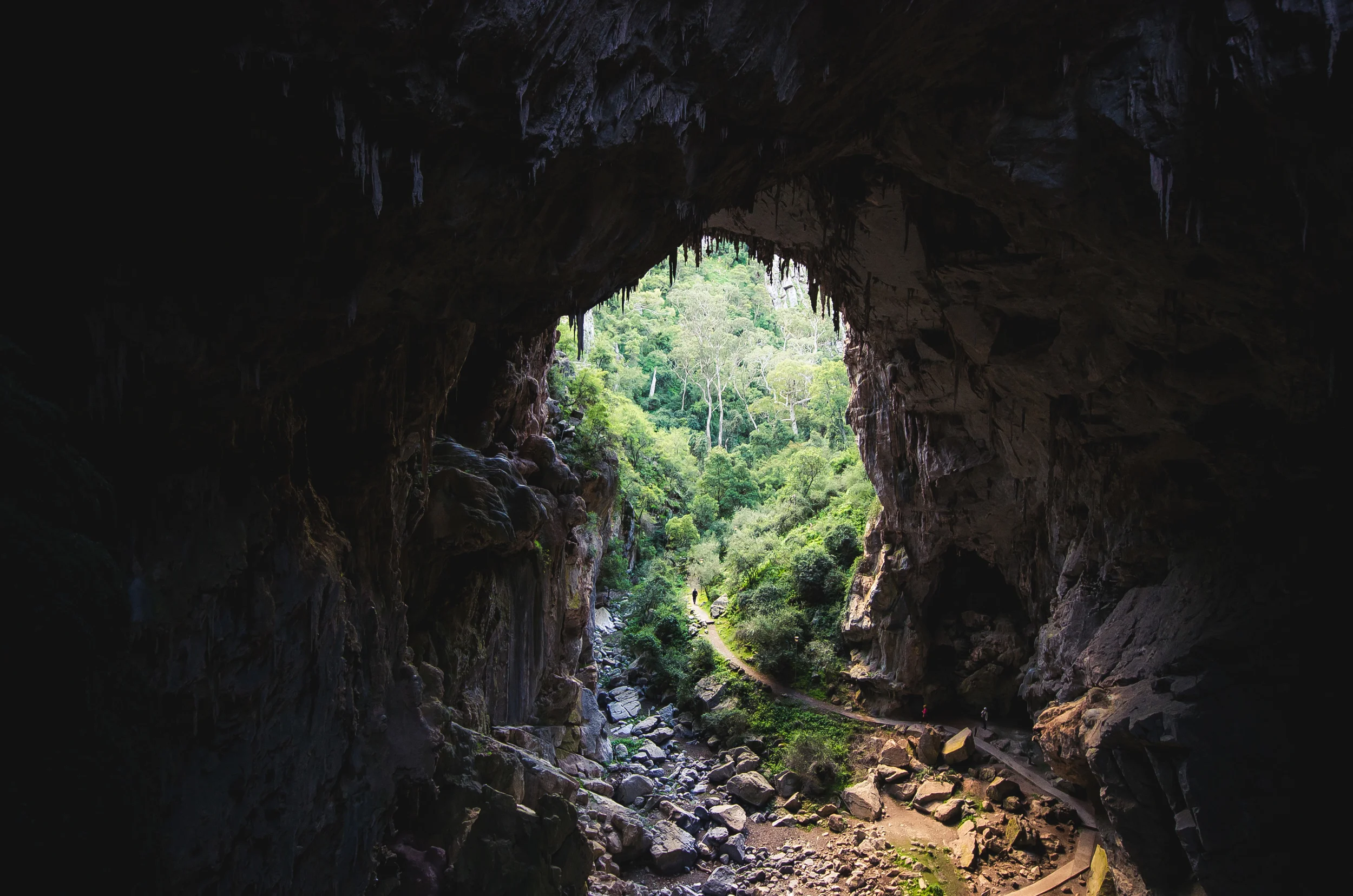 004740 - 07-05-2014 till 14-05-2014 - Six foot track Blue Mountains - Shipwreck - Worimi conservation land - Australia.jpg