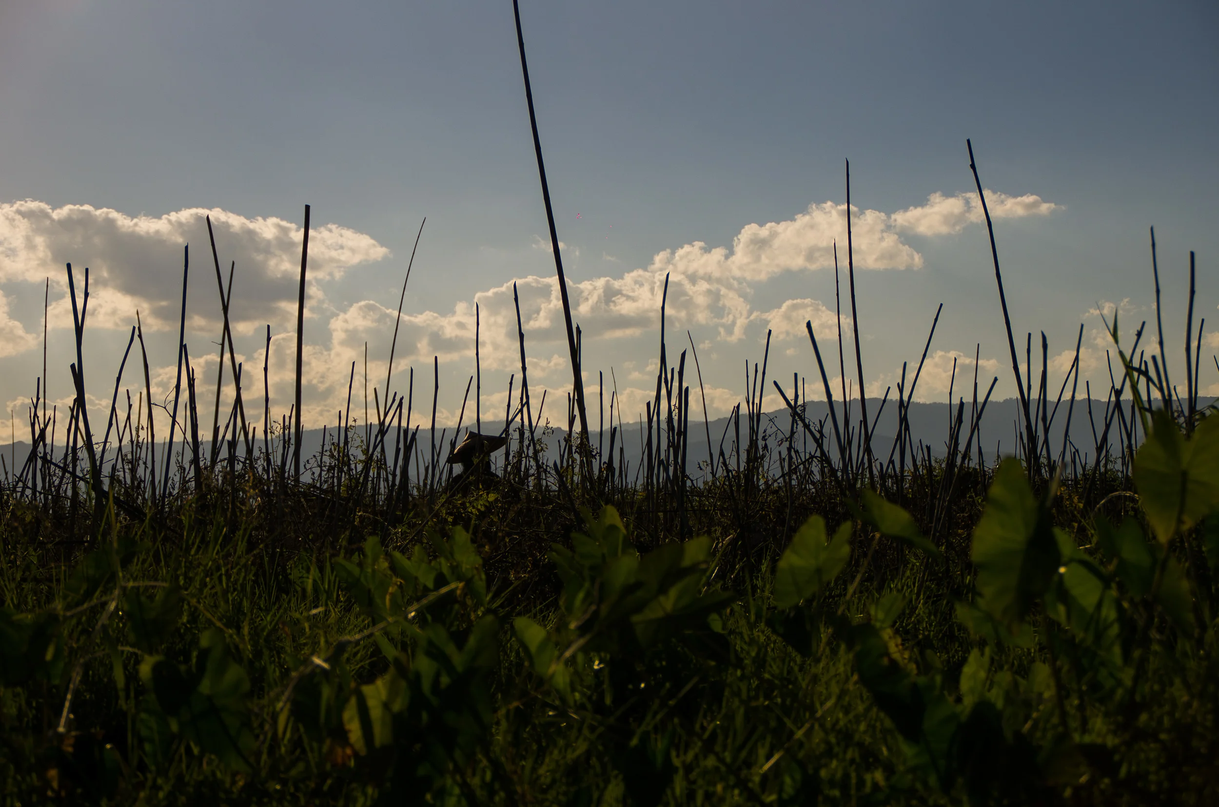 001052 - 31 tem 3 -12-2012 - Inlay Lake.jpg