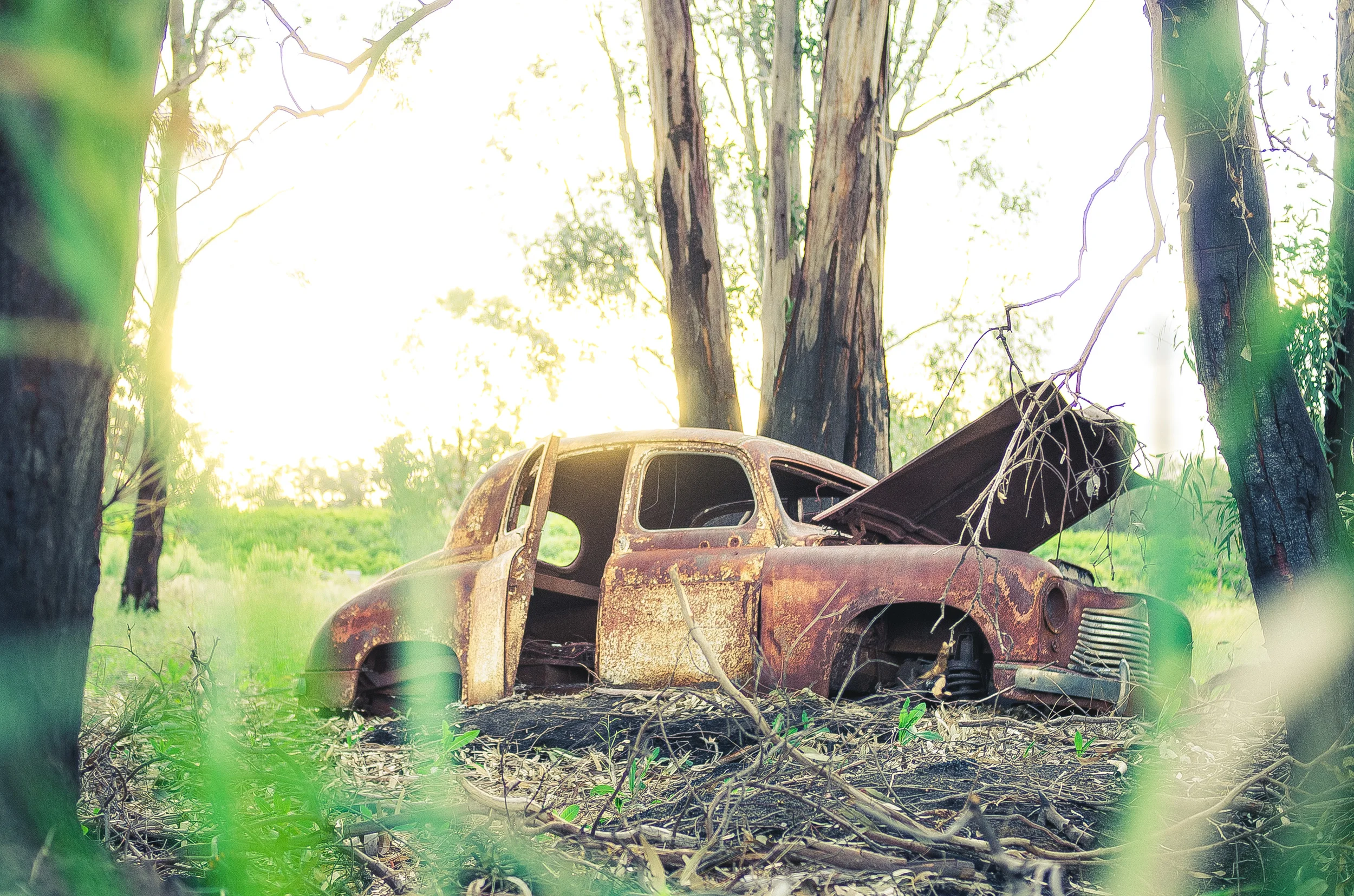 002730 0041 - 15-09-2013 till 24-X9-2013 - Robinvale Citrus farm - Victoria - Australia.jpg
