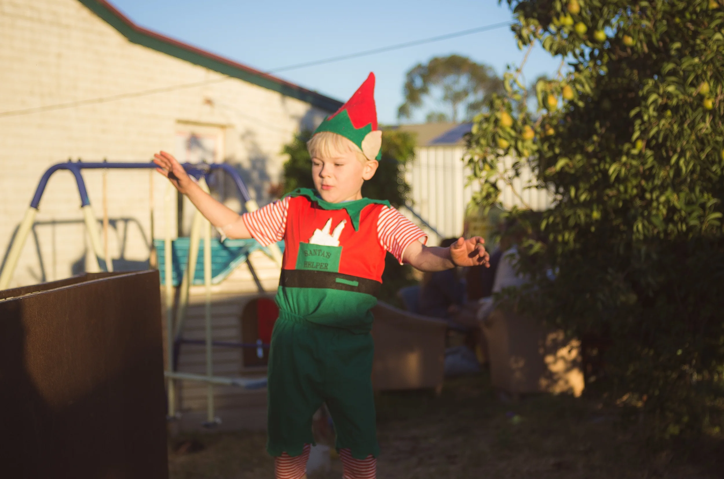 004259 - 25-12-13 till 16-02-2014 - Tanunda Barossa Backpackers and Wwoofing - Australia.jpg