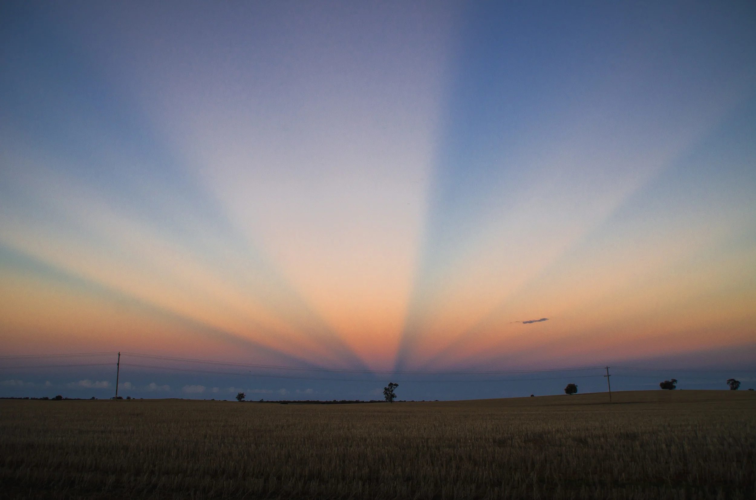 002575 - 23-07-2013 till 29-07-2013 - Swan Hill, Robinvale, Citrusfarm - Victoria - Australia.jpg
