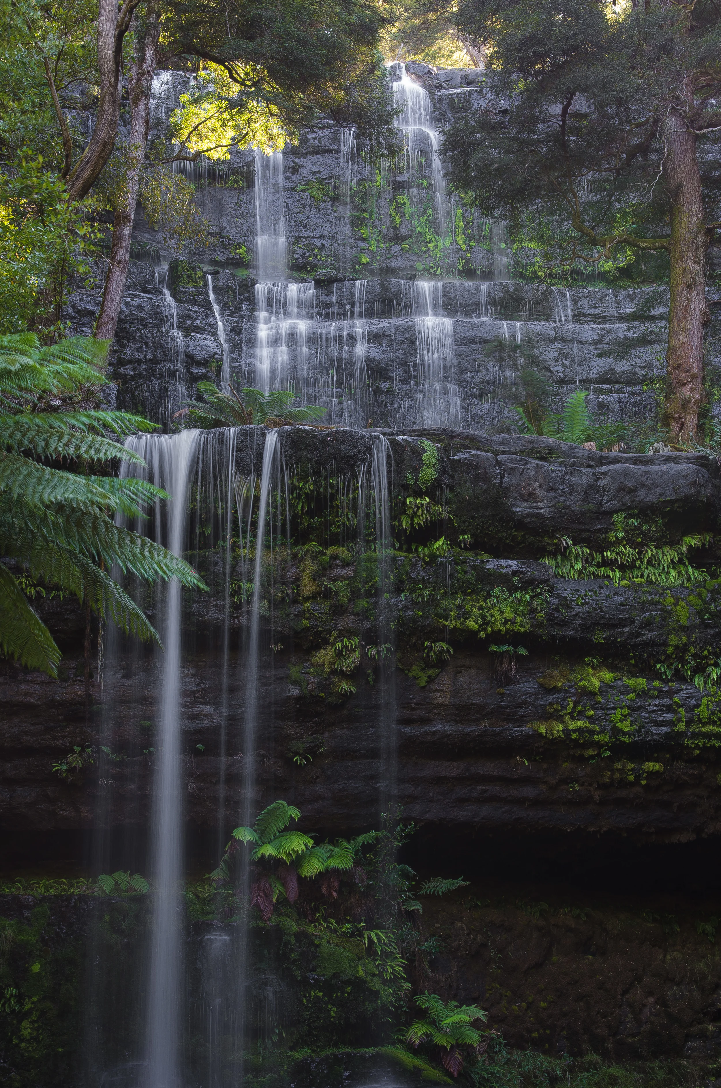 004522 - 21-03-2014 till 01-04-2014 - Overland Track, Hobart, Southwest NP, Cape and Cape Rauol in - Tasmania - Australia.jpg