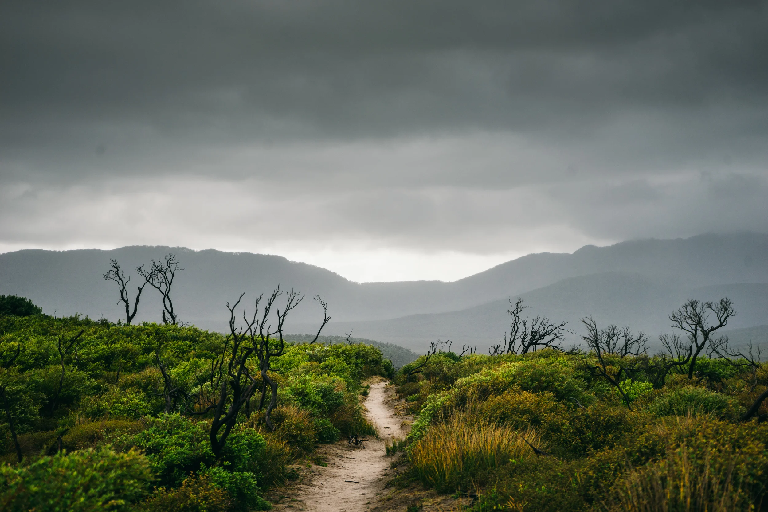 005430 - 28-01-15 - Wilsons Promontory - Australia.jpg
