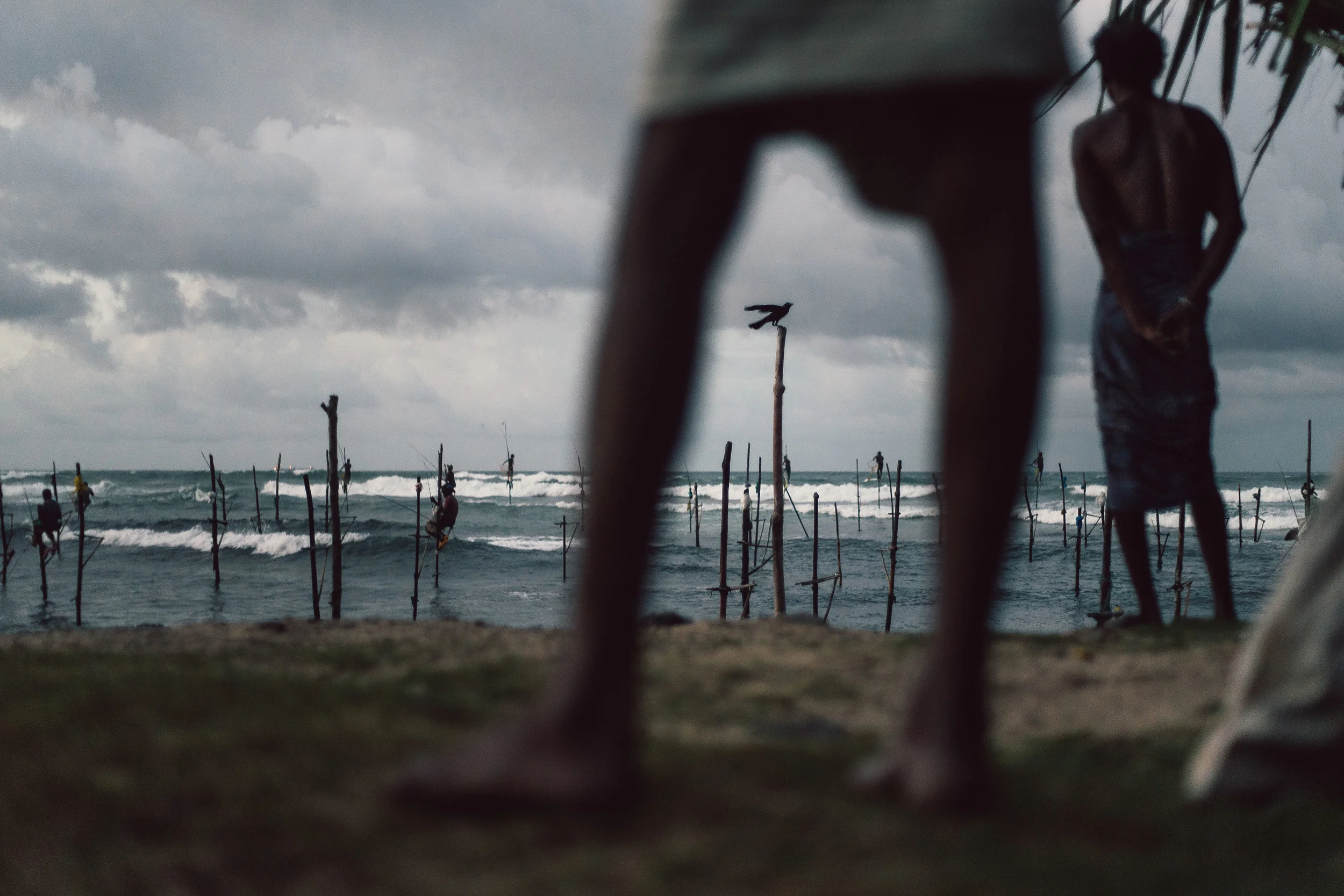 006953 - 12-08-2015 till 12-09-2015 - Sri Lanka.jpg