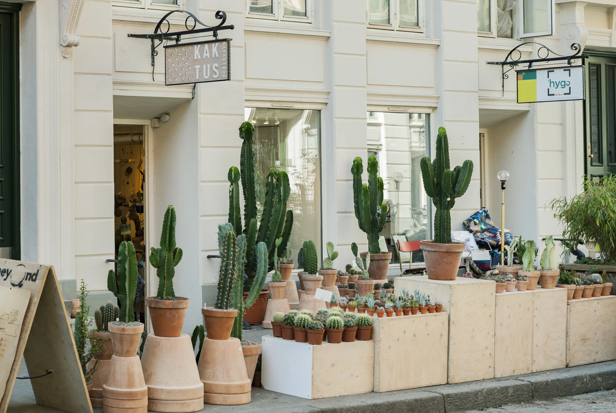 Tre deilige plantebutikker i København